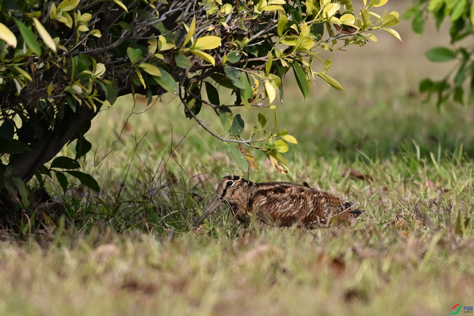 DSC_8398.JPG