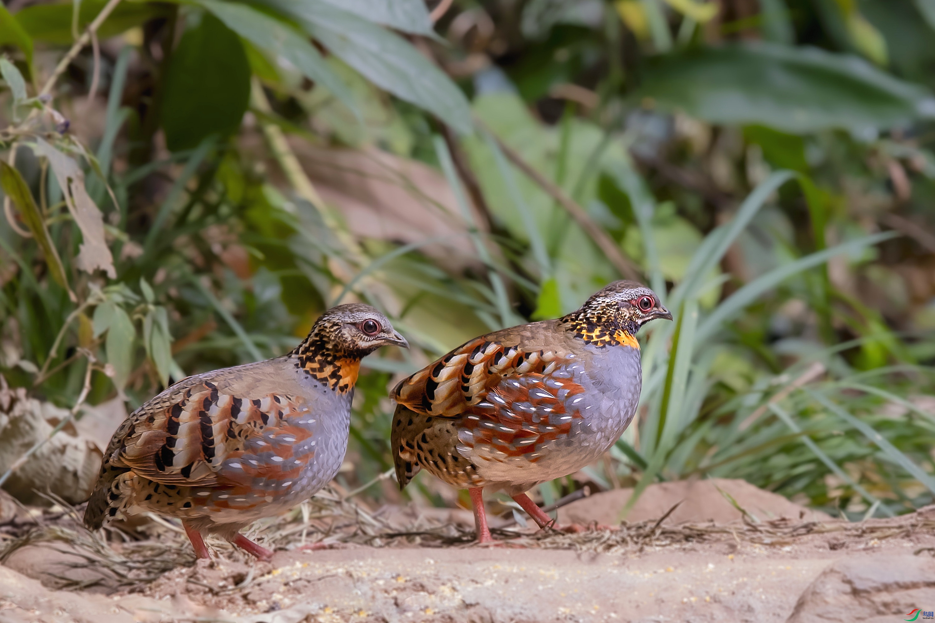 DSC_7028.jpg