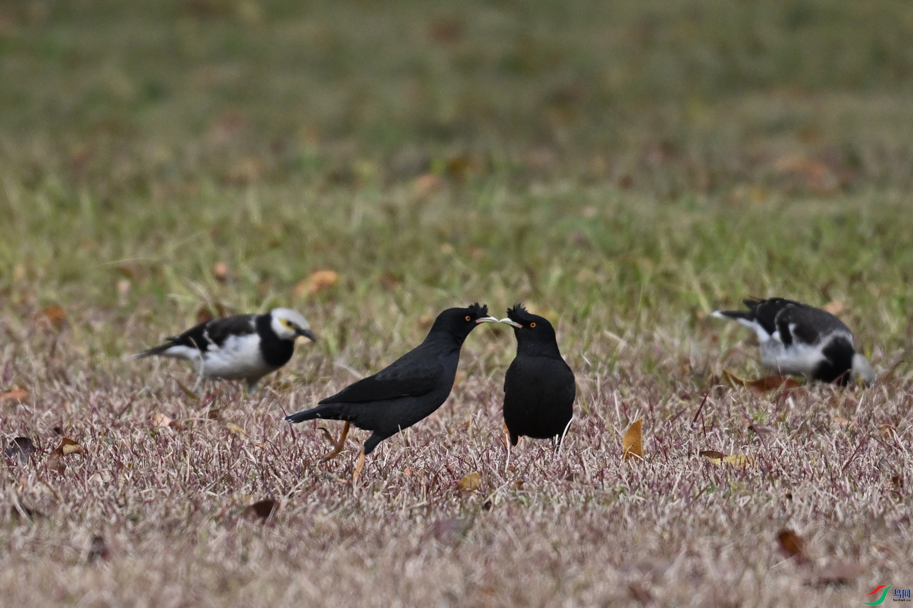 DSC_8403.JPG