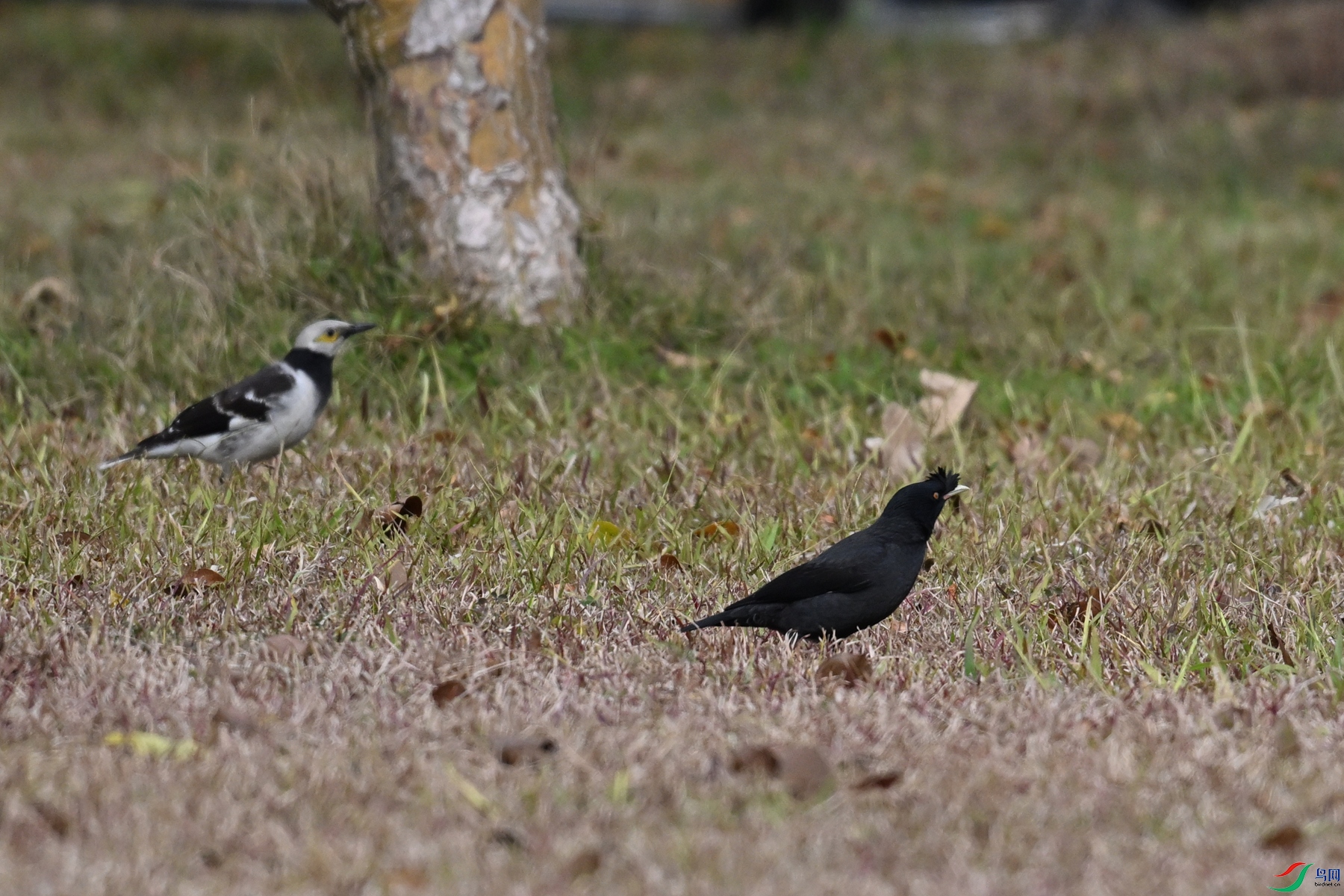 DSC_8405.JPG