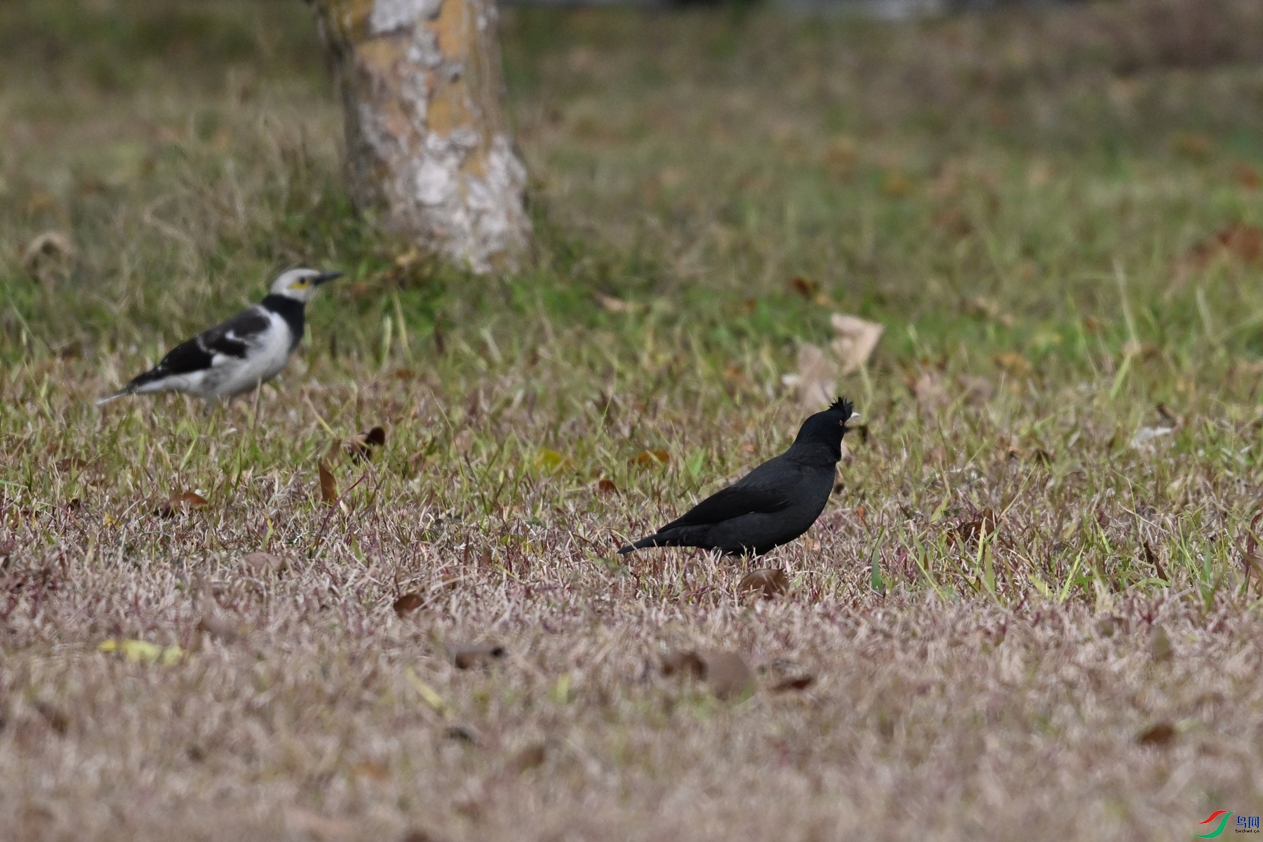 DSC_8407.JPG