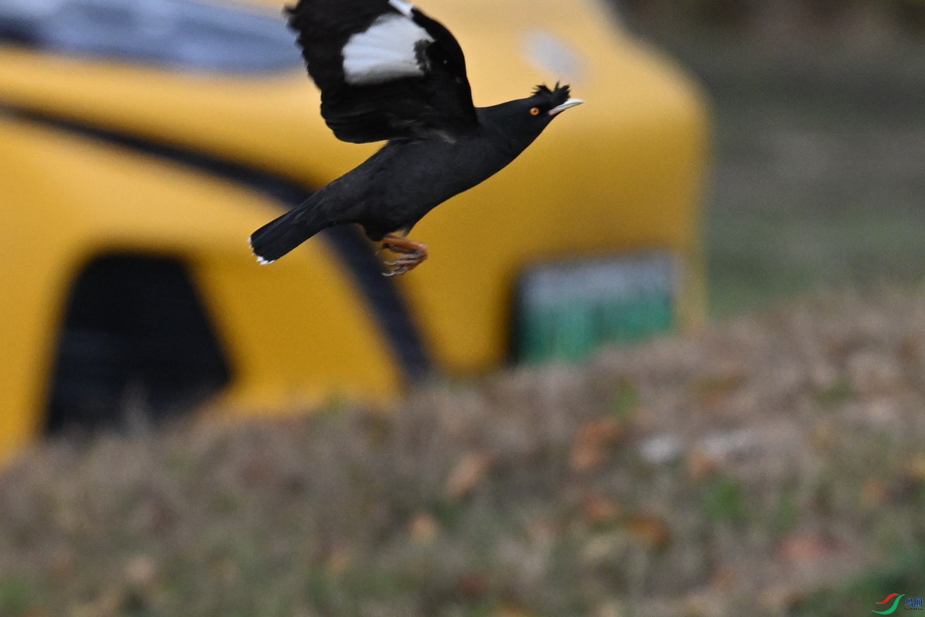 DSC_8409.JPG