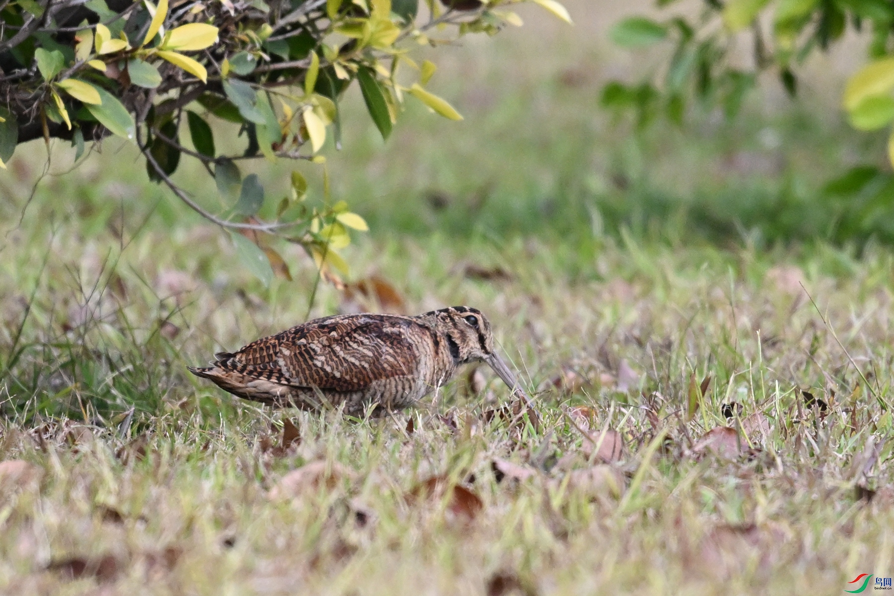 DSC_8414.JPG