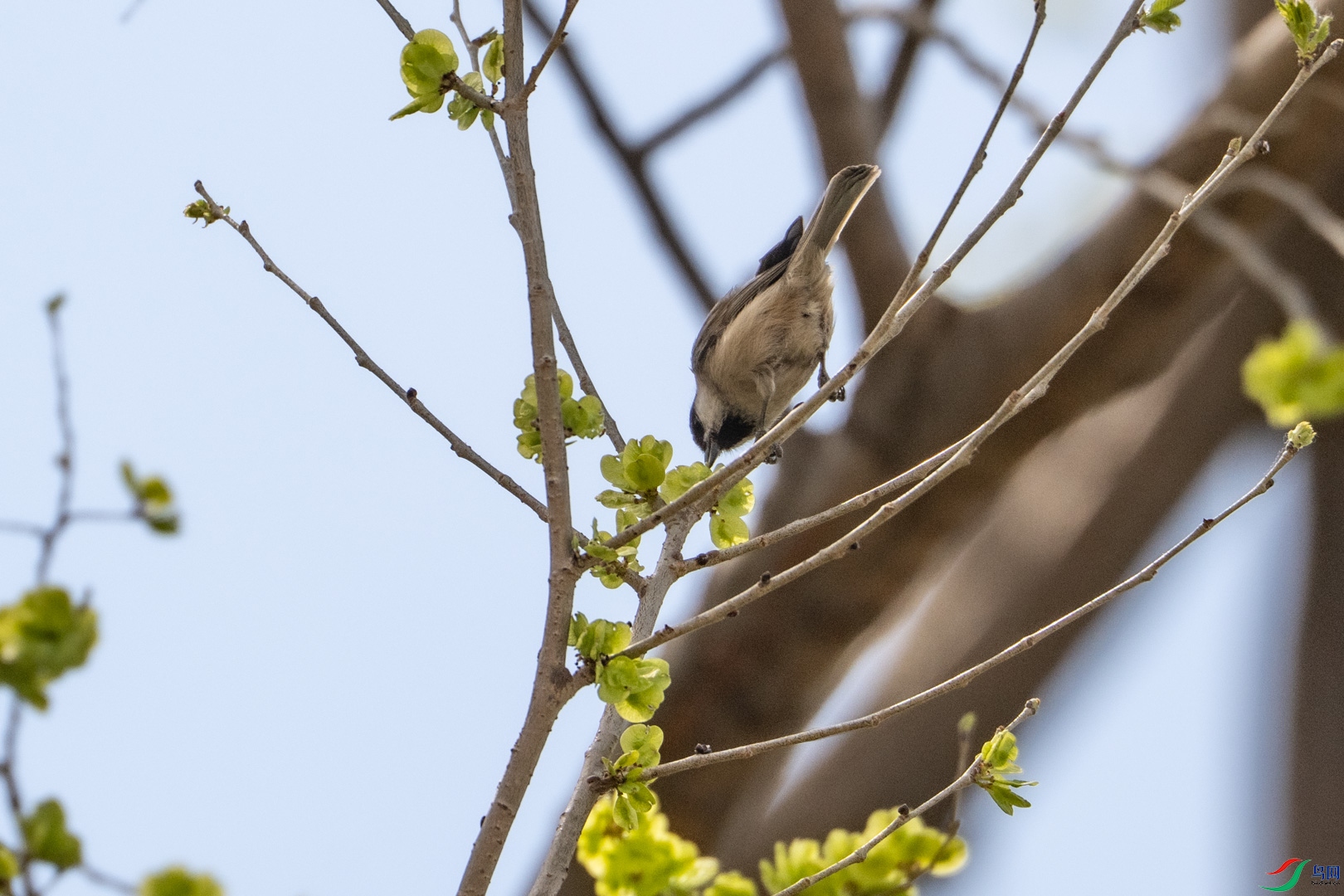 DSC_0767_1.jpg