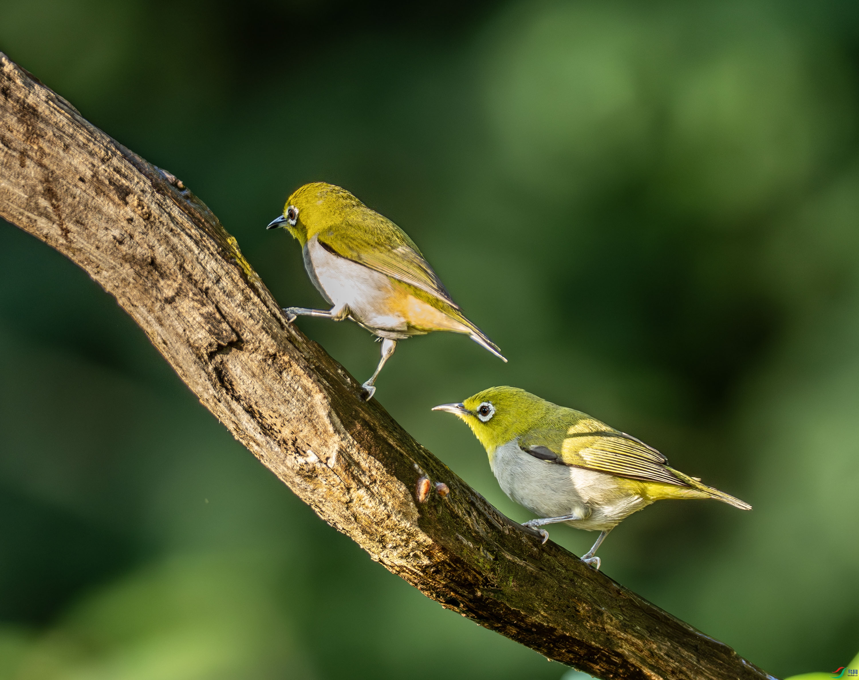 �Ҹ�������-01-16.jpg