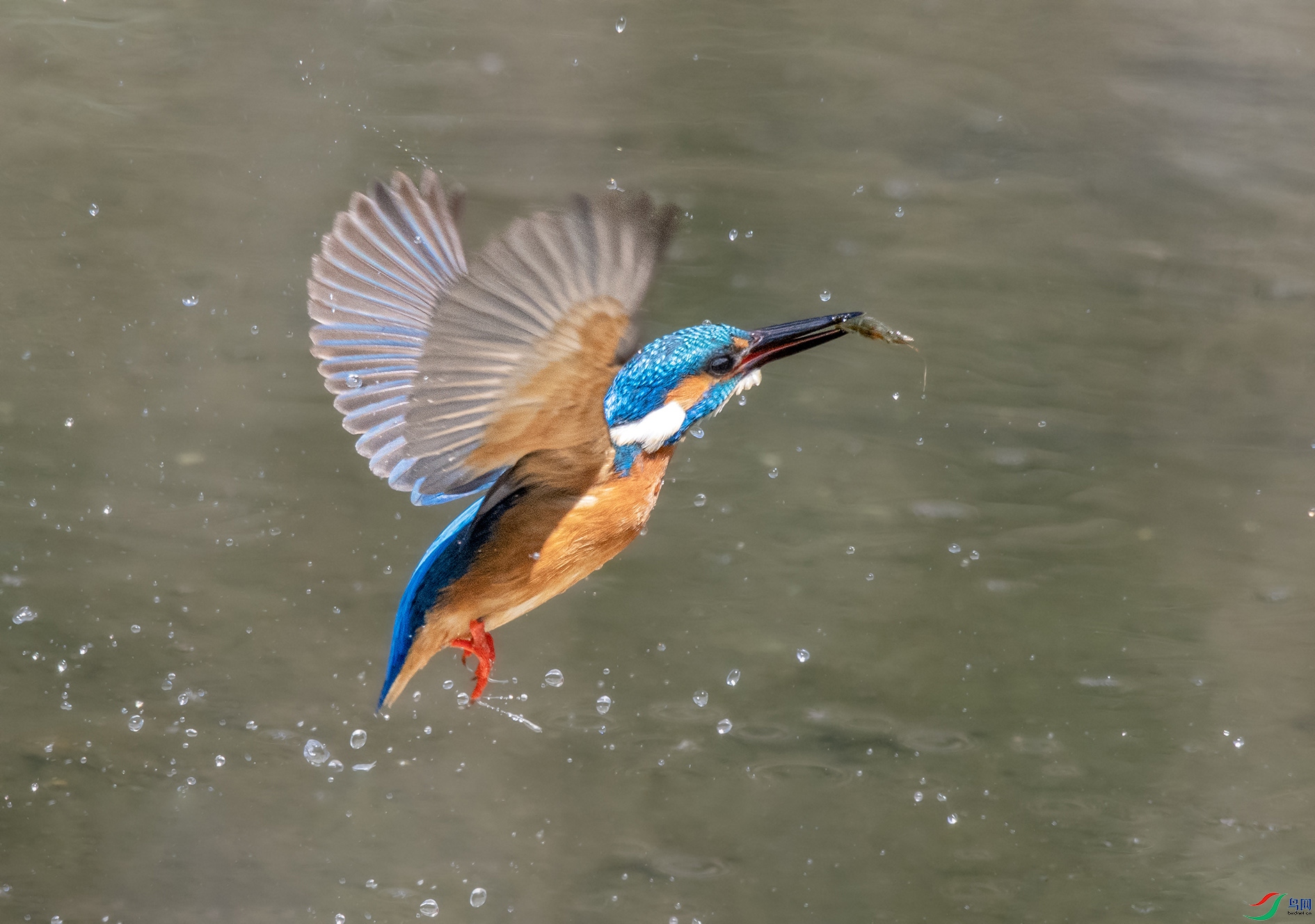 DSC_1721_��ͼ�� ����.jpg