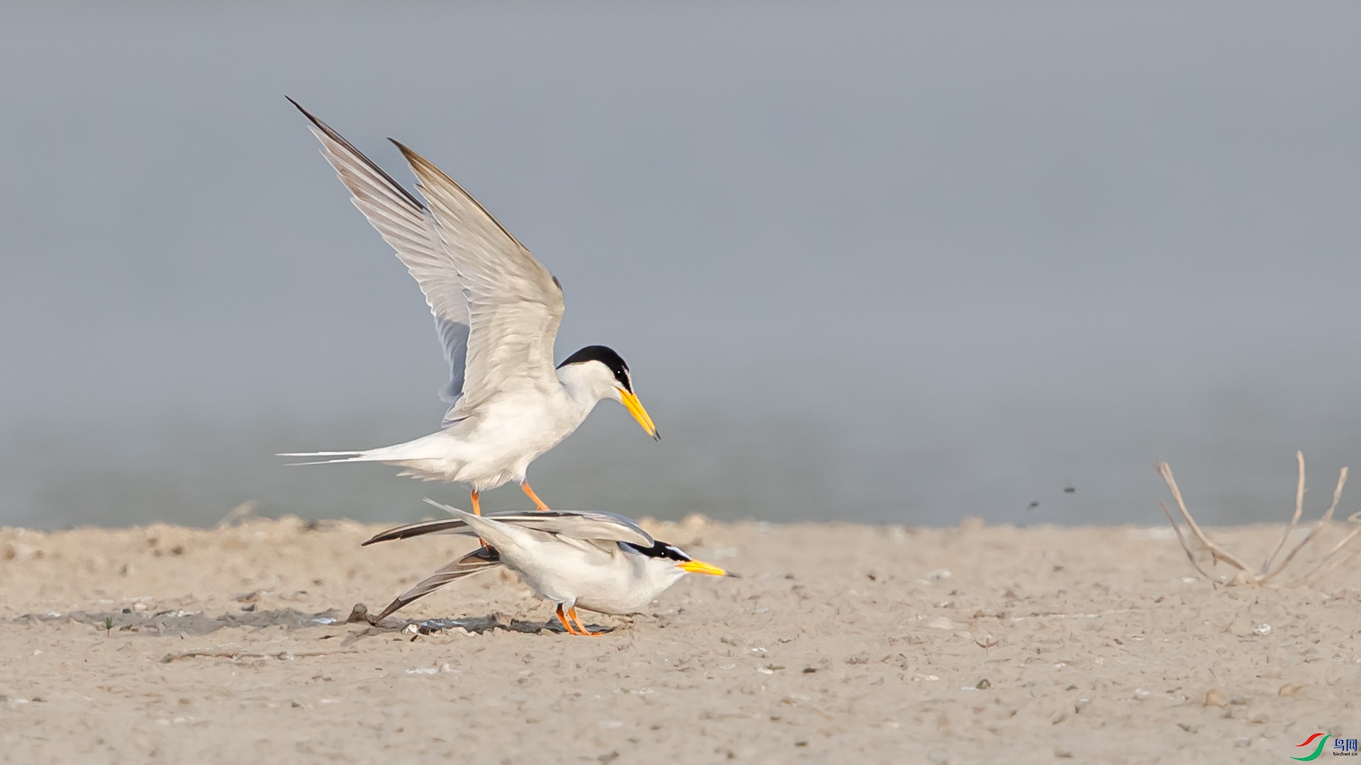 AM3I0572.JPG