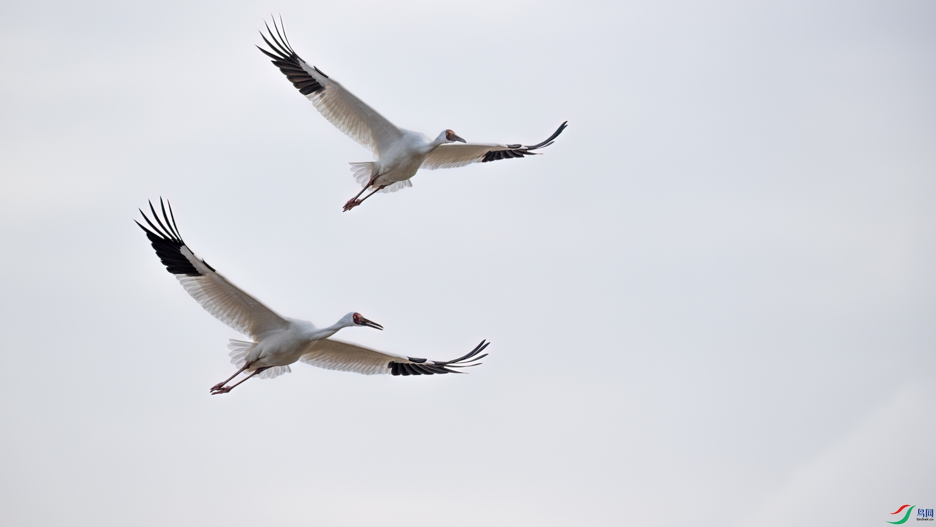 DSC_2688sen2026-2-27-194-�༭.jpg