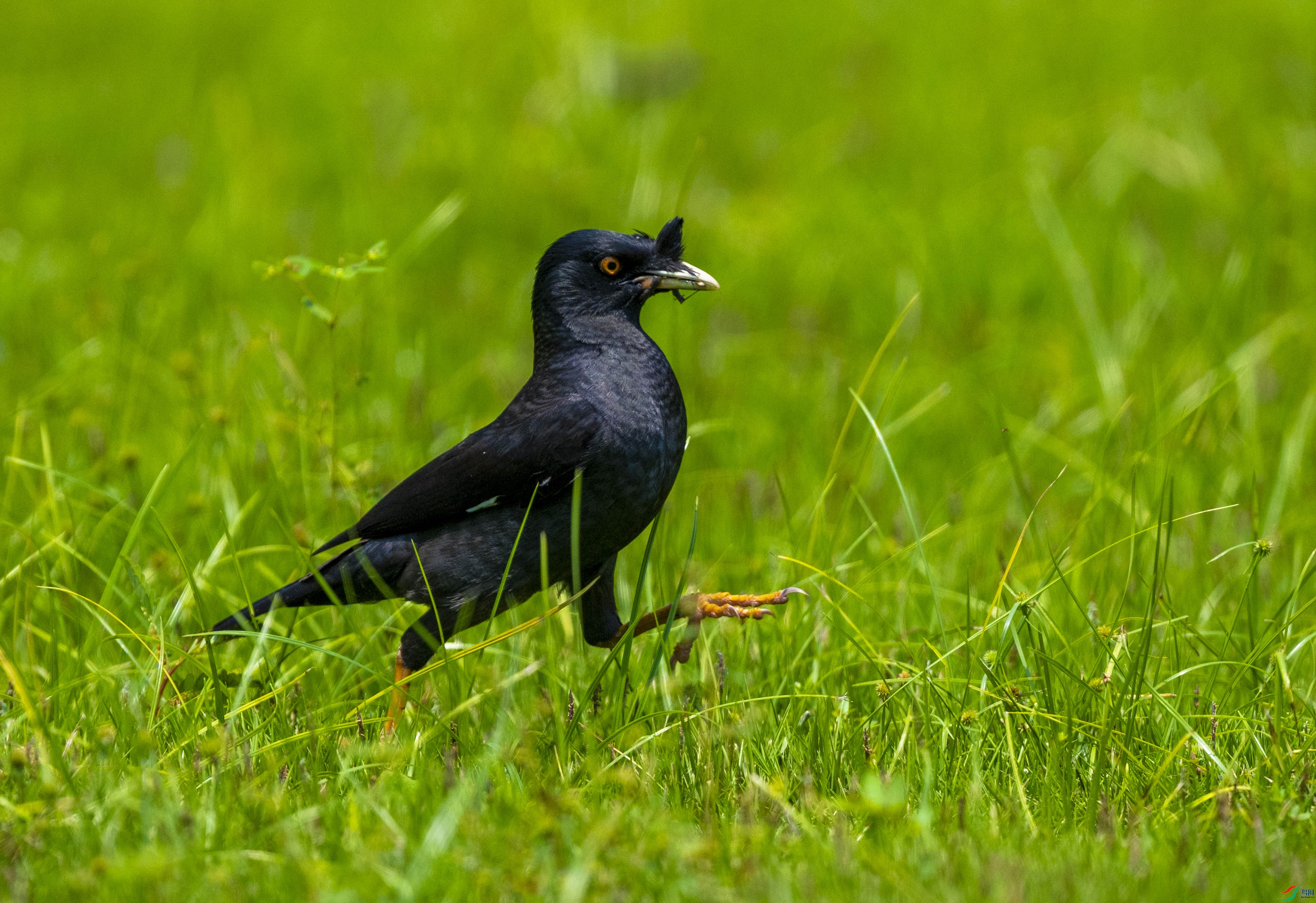 DSC_2122.jpg