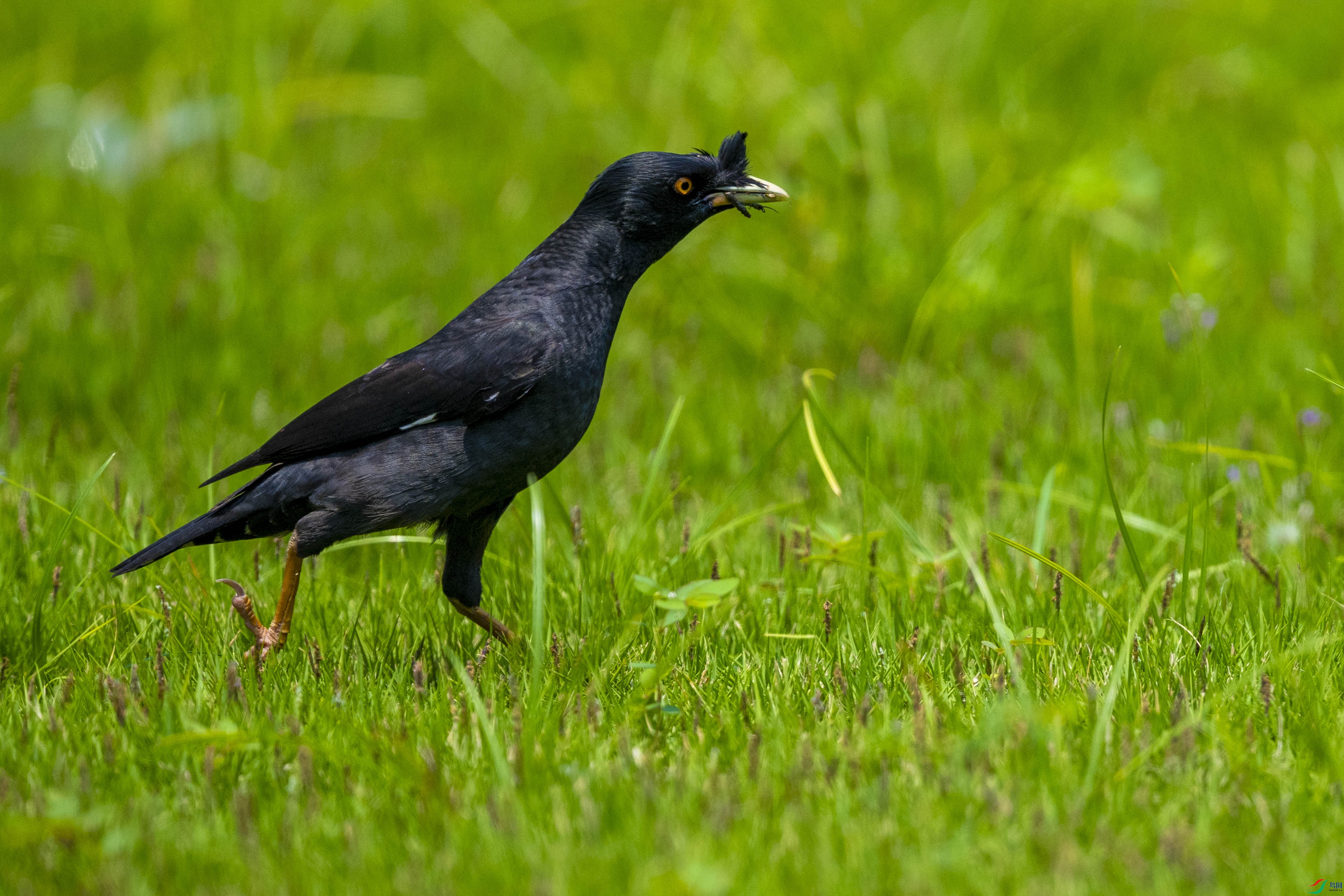 DSC_2123.jpg