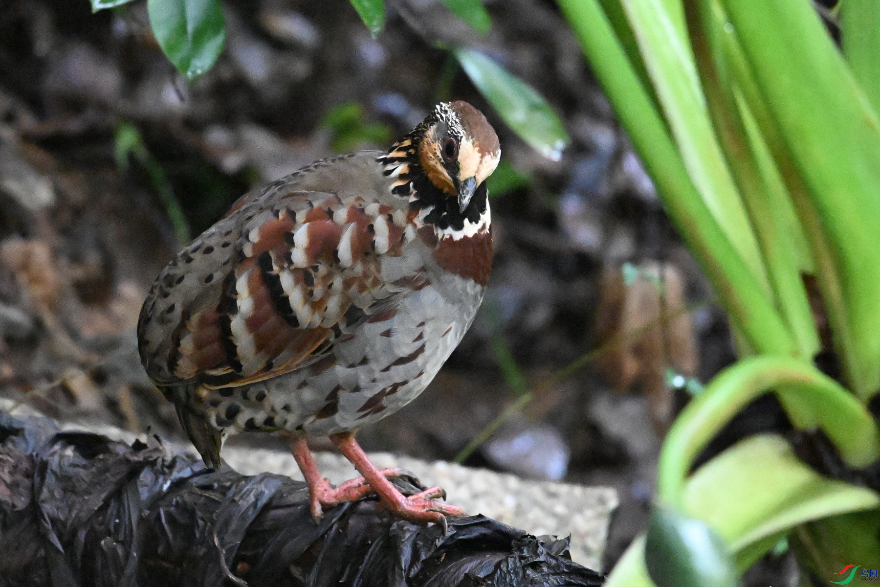 DSC_3567.JPG