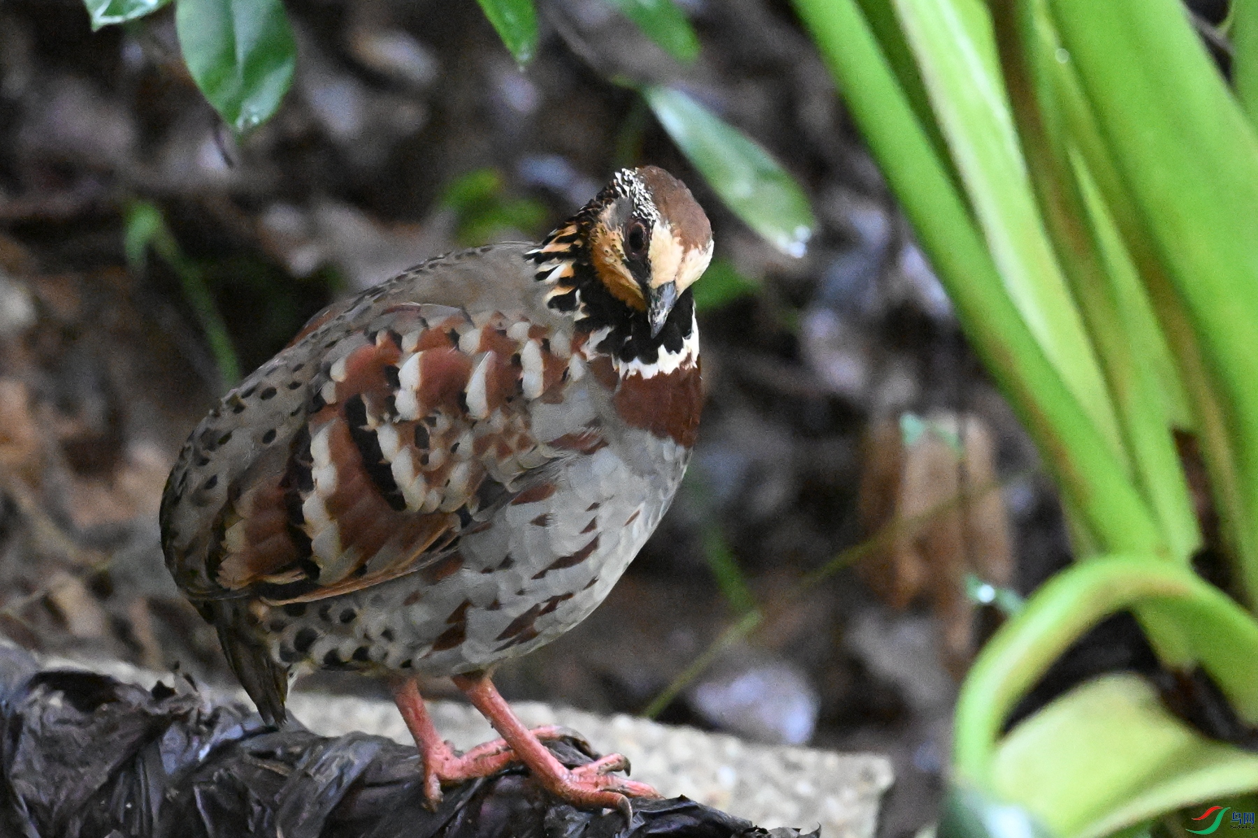 DSC_3569.JPG