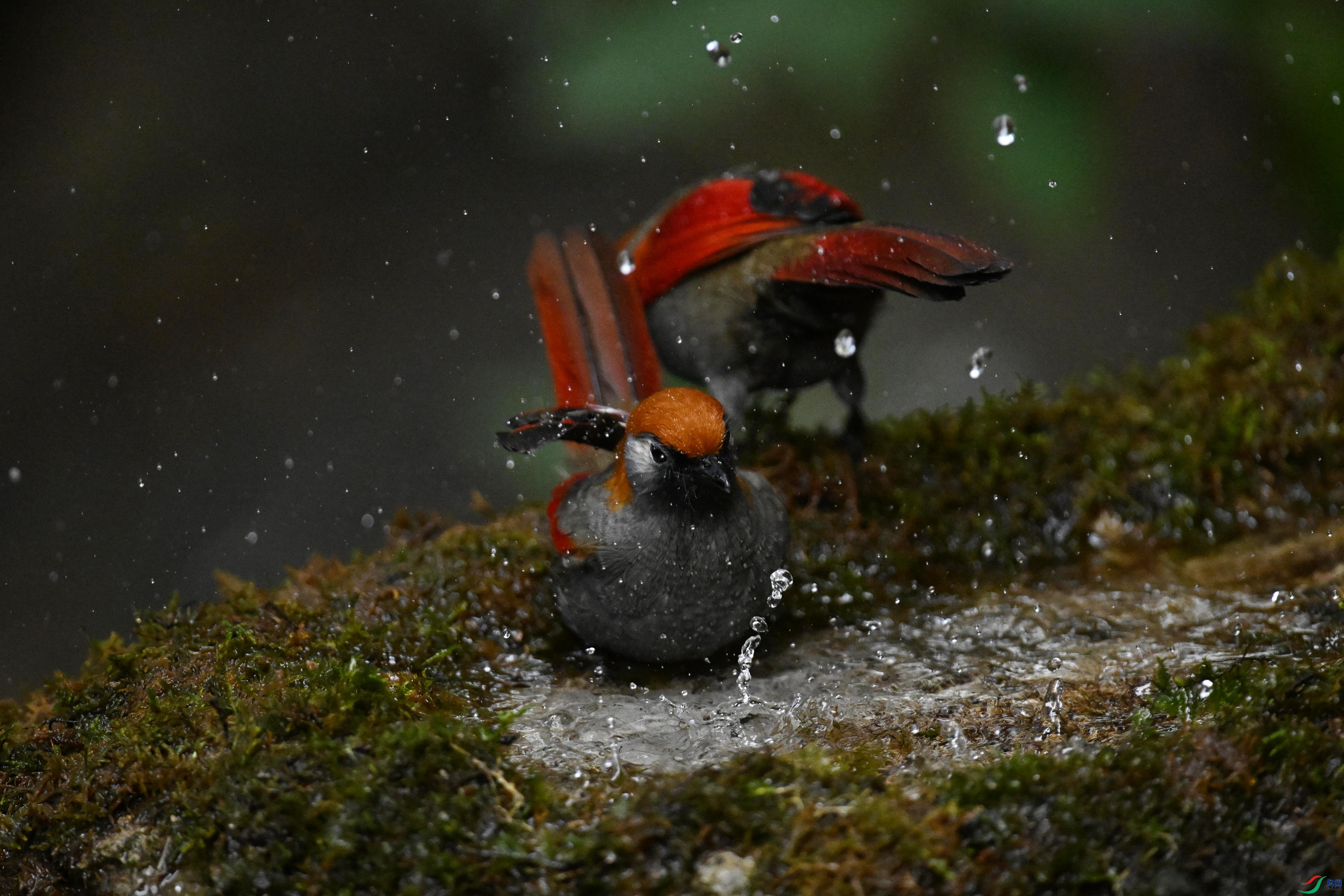 ��β���� (26).jpg