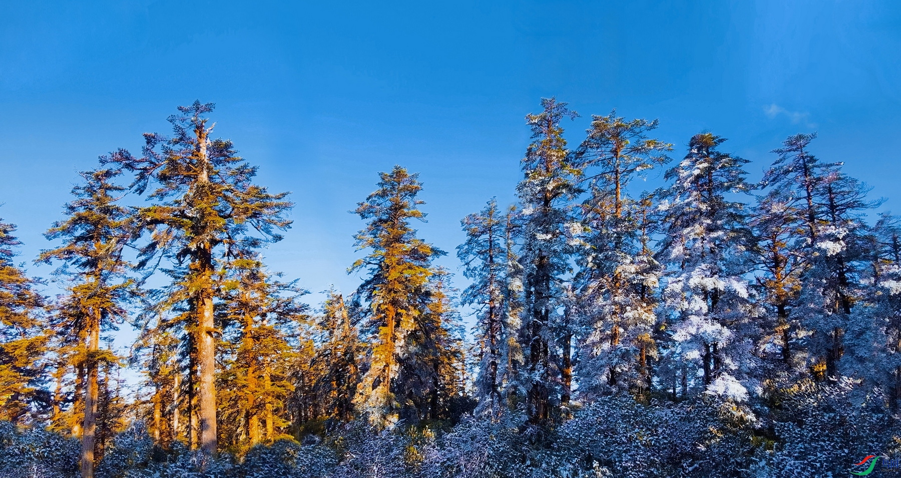 ΢����Ƭ (709)-01.jpg