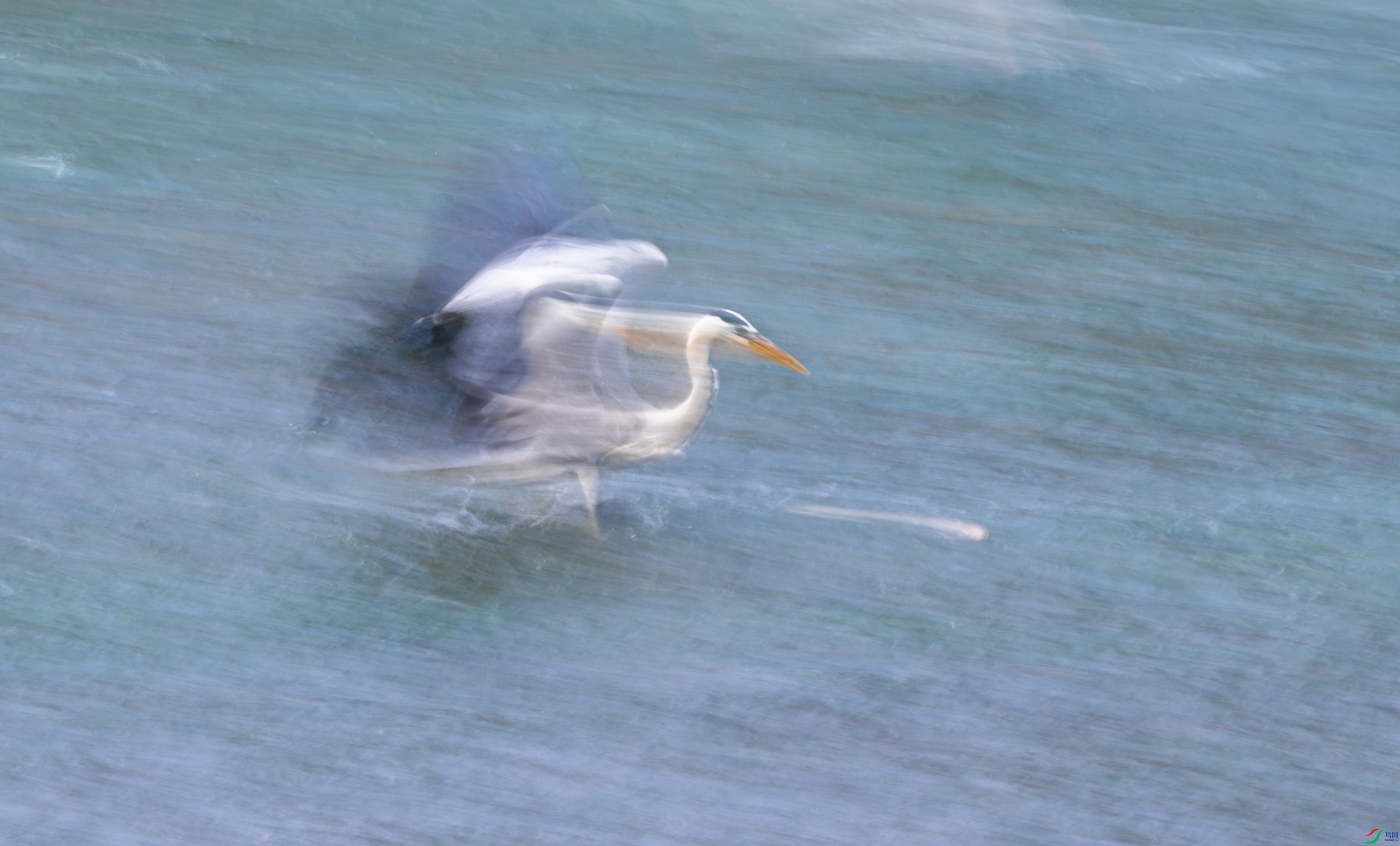 DSC_6508-1.jpg