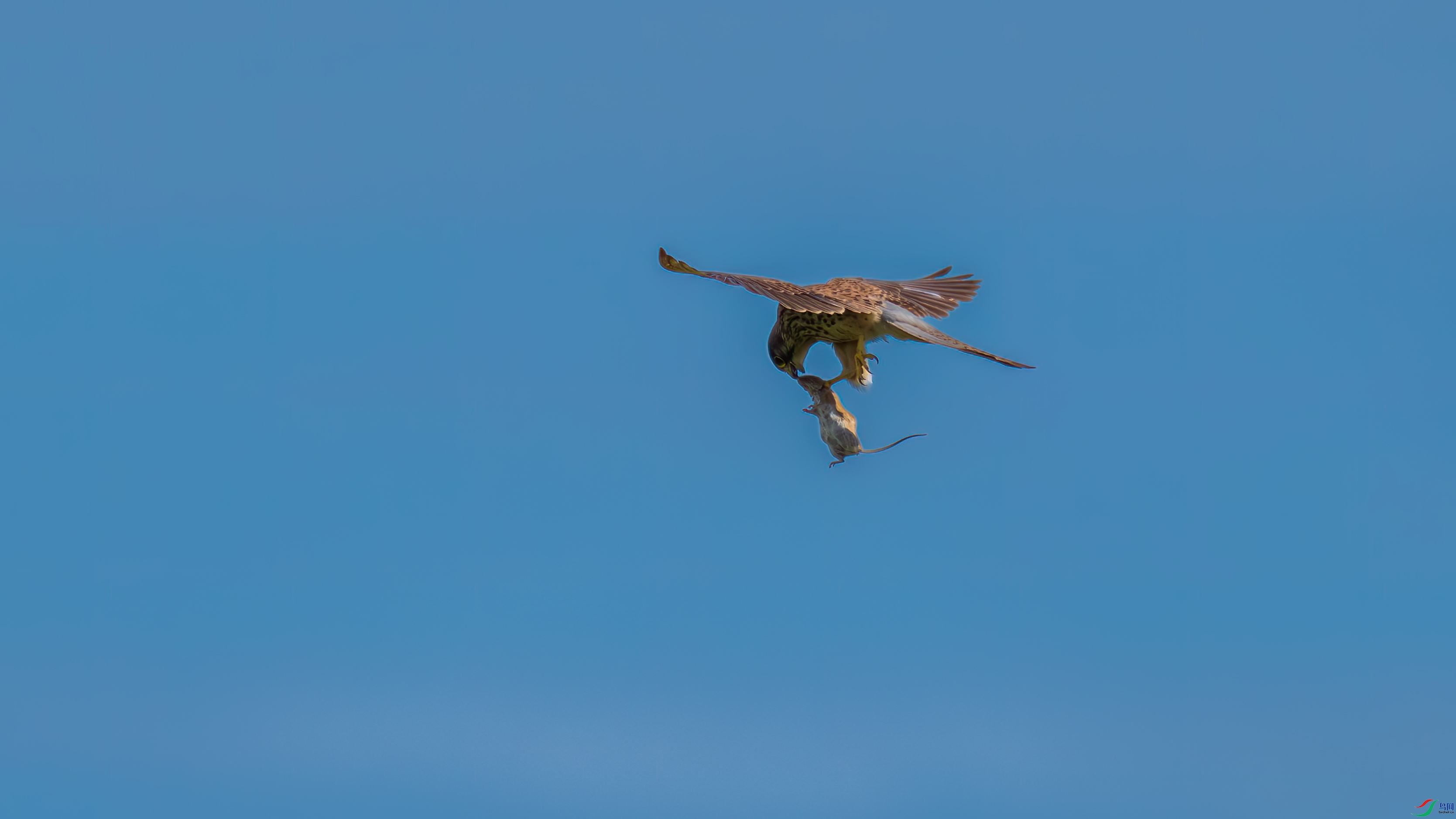 DSC_1390.jpg