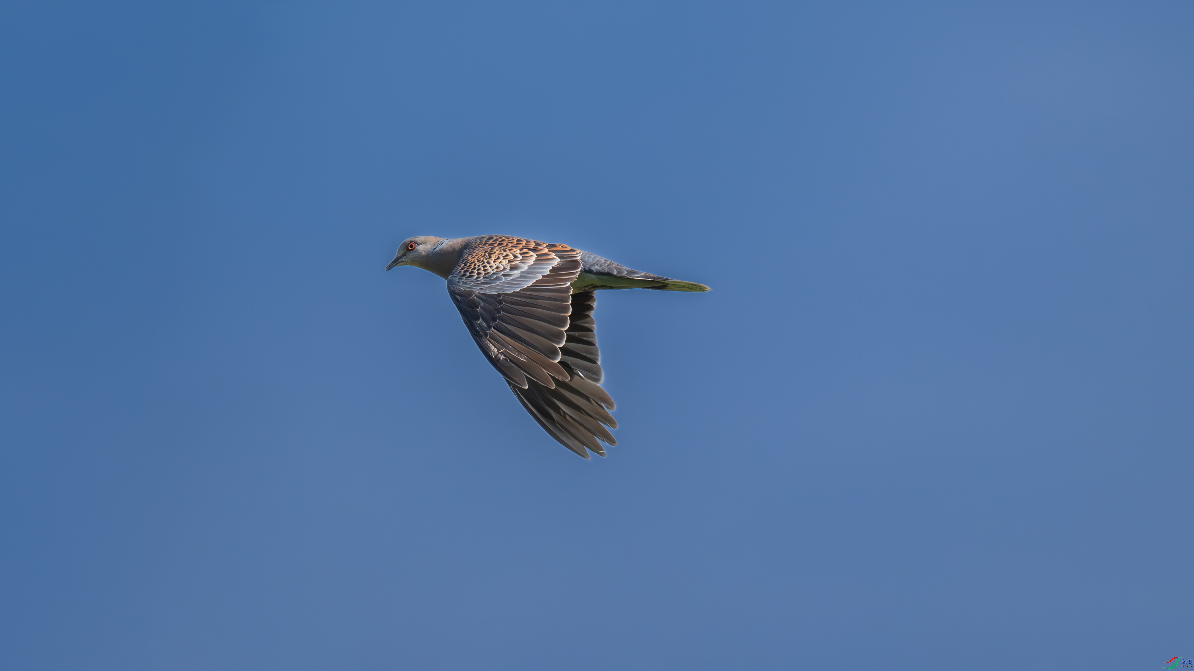 DSC_1506.jpg
