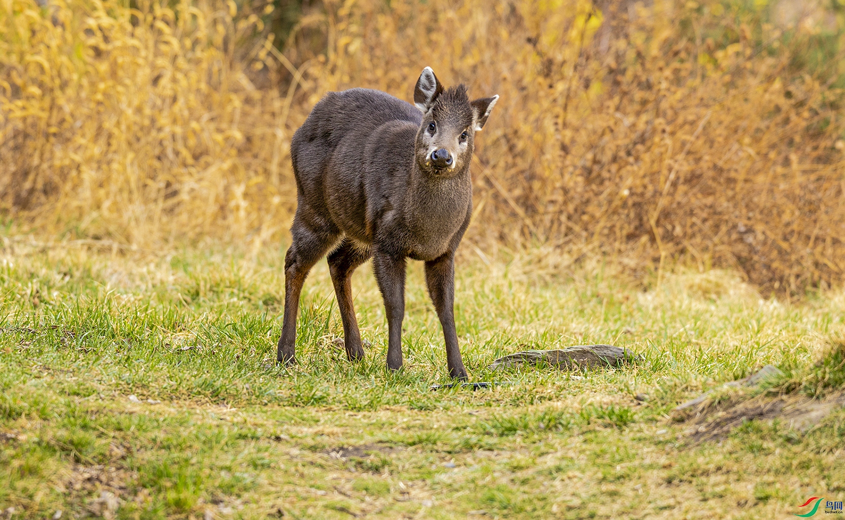 066A9043.jpg
