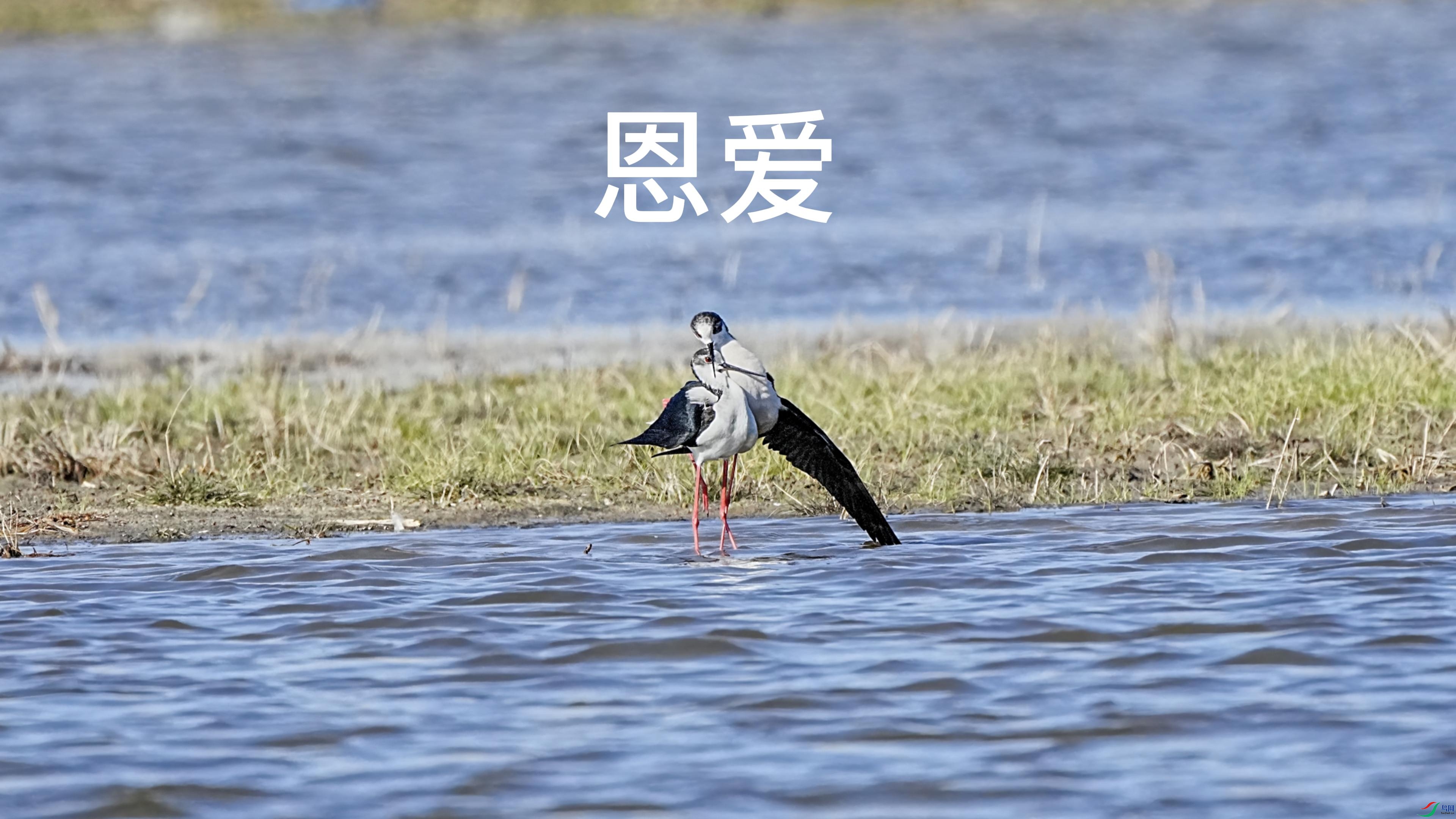 5��8��(1)-����.jpg