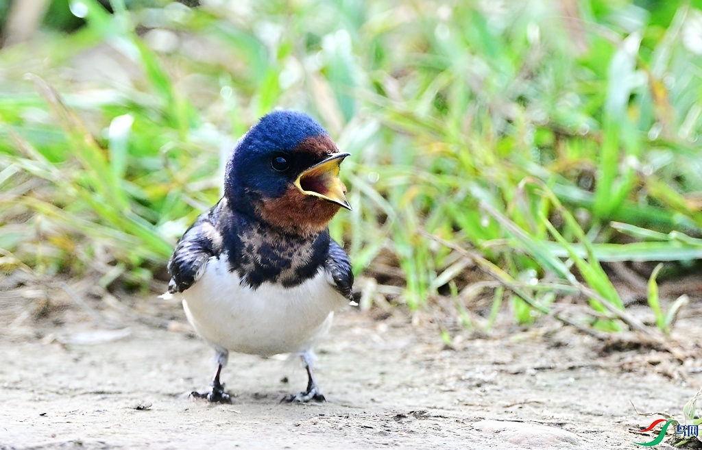 DSC_6588.JPG