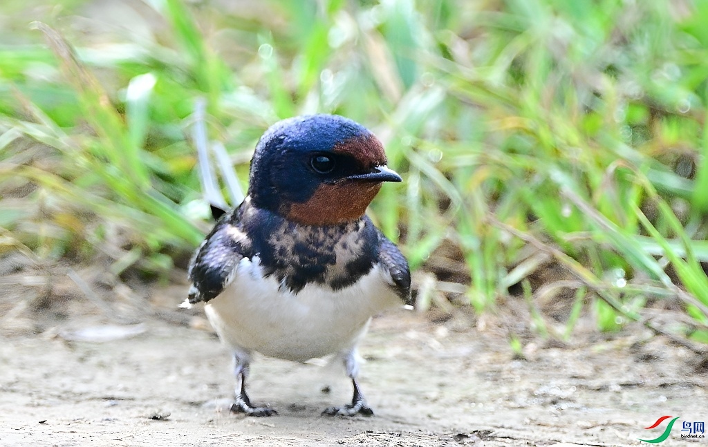 DSC_6638.JPG