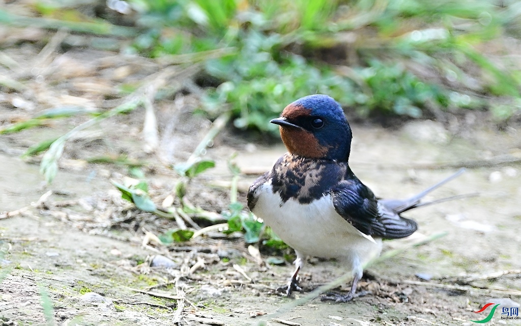 DSC_7099.JPG