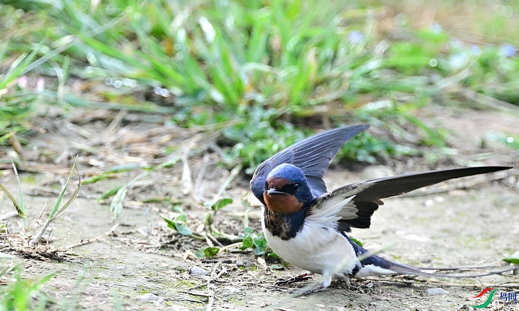 DSC_7151.JPG