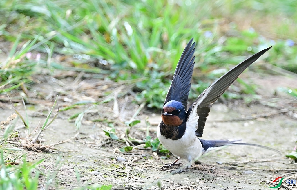 DSC_7152.JPG