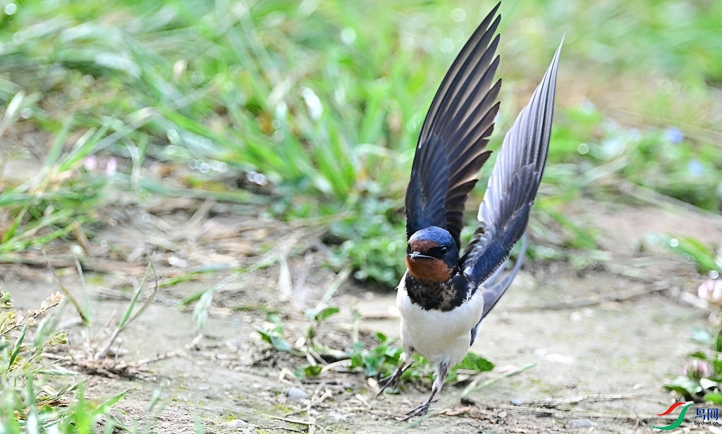 DSC_7153.JPG