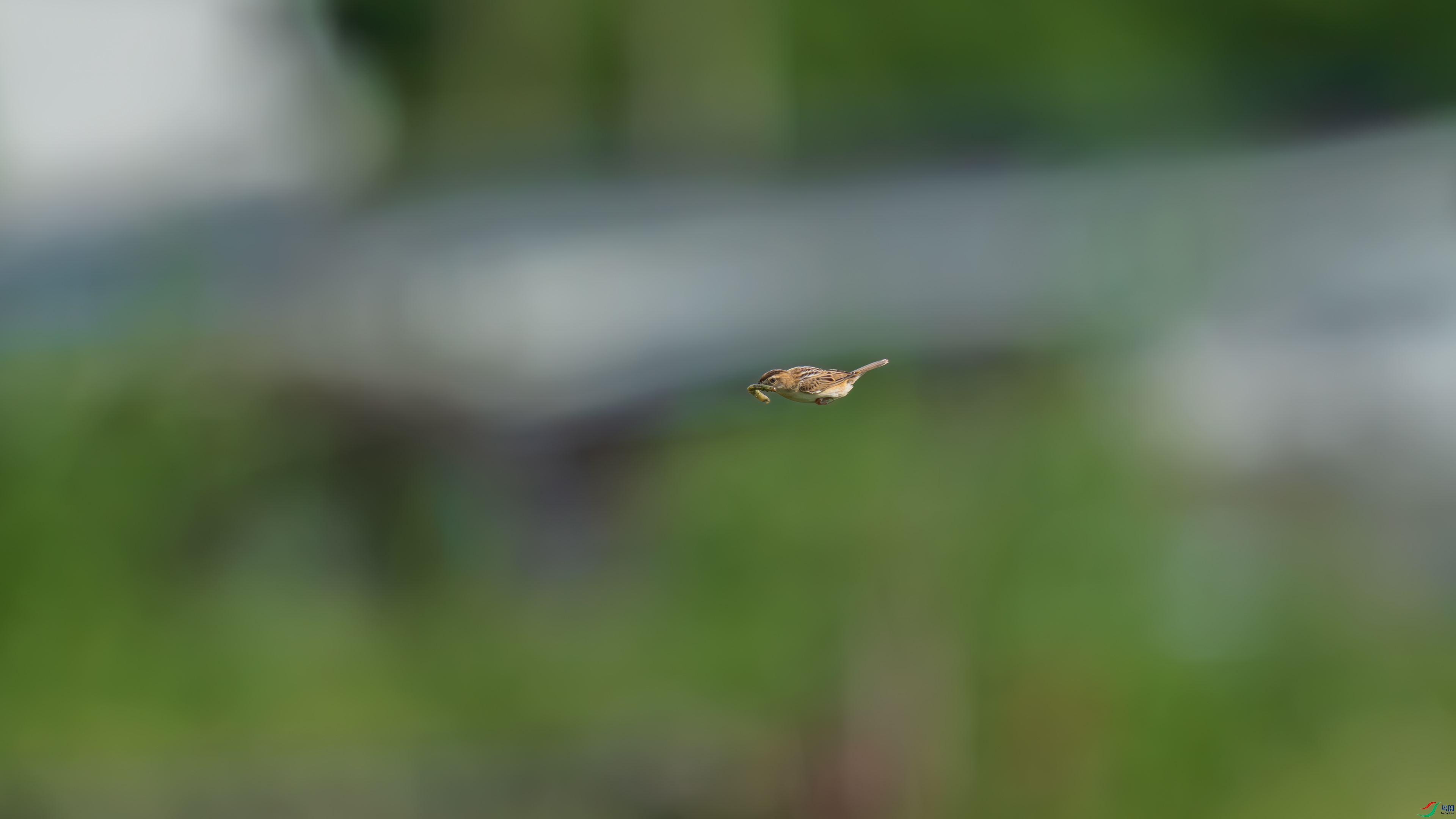 DSC_1072.jpg