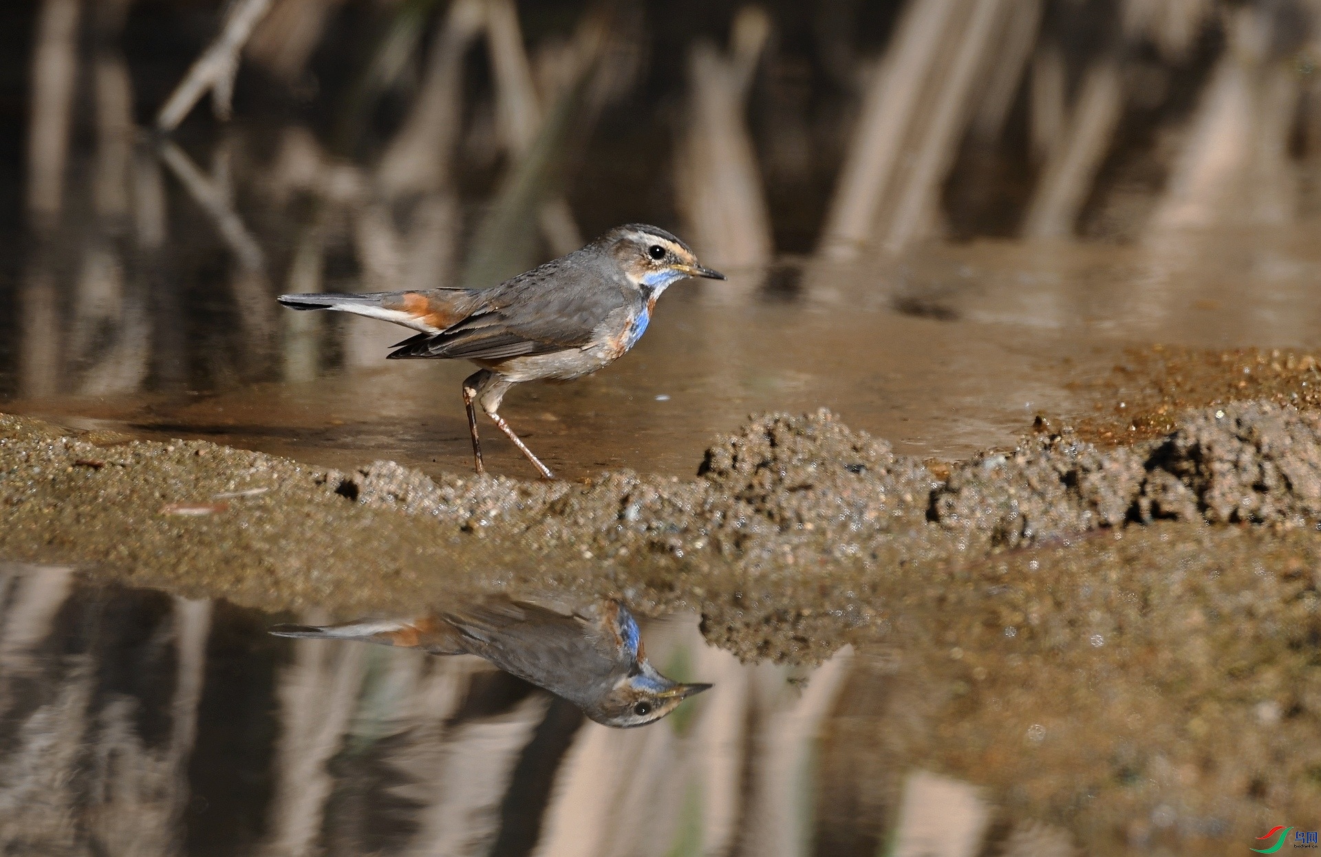 DSC_4962.jpg