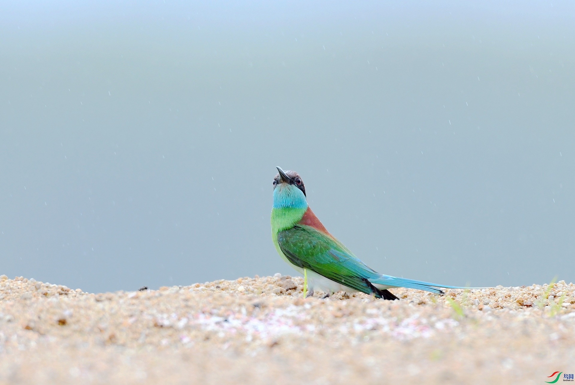 DSC_1392.jpg