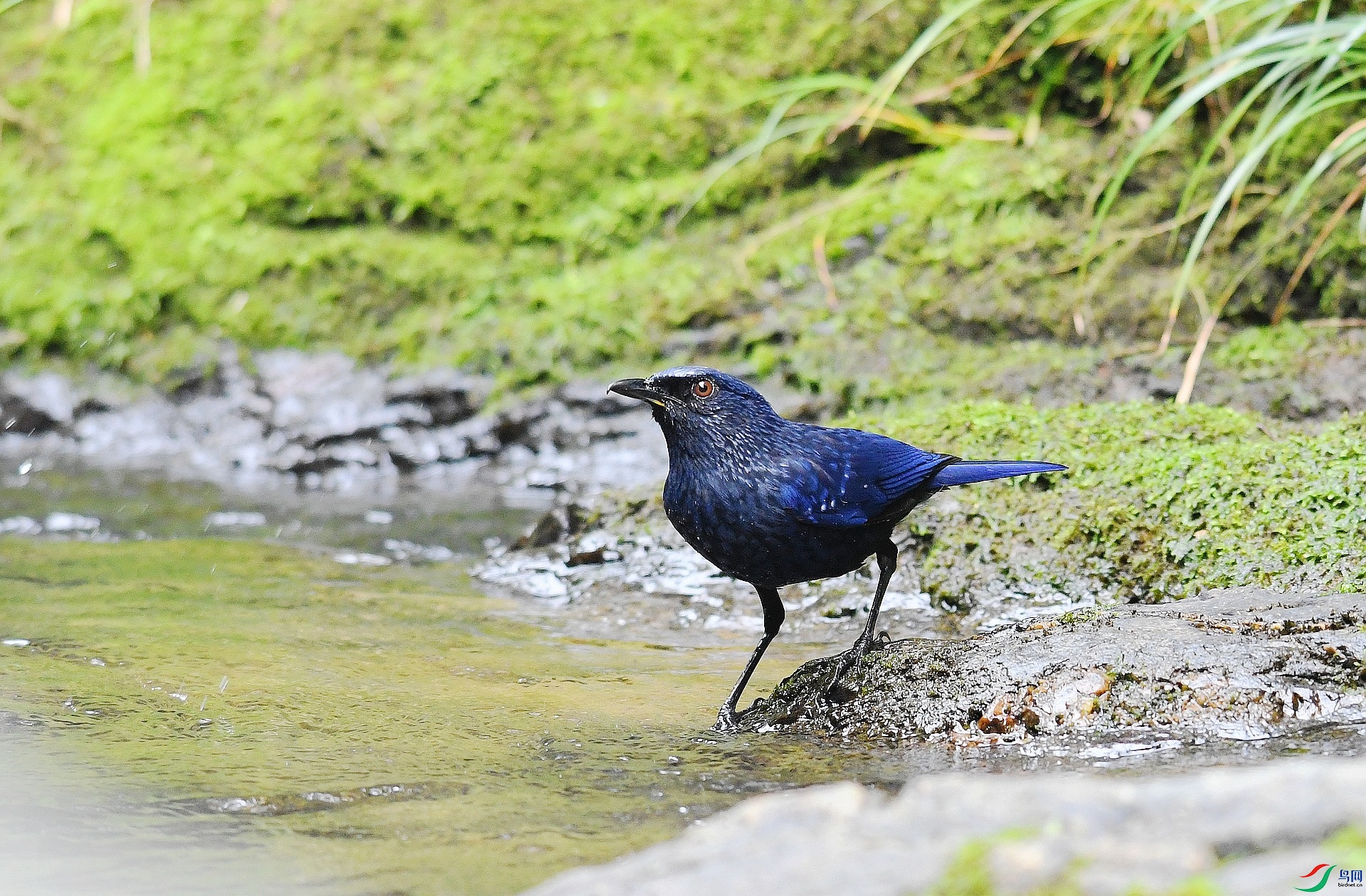 DSC_1190.jpg
