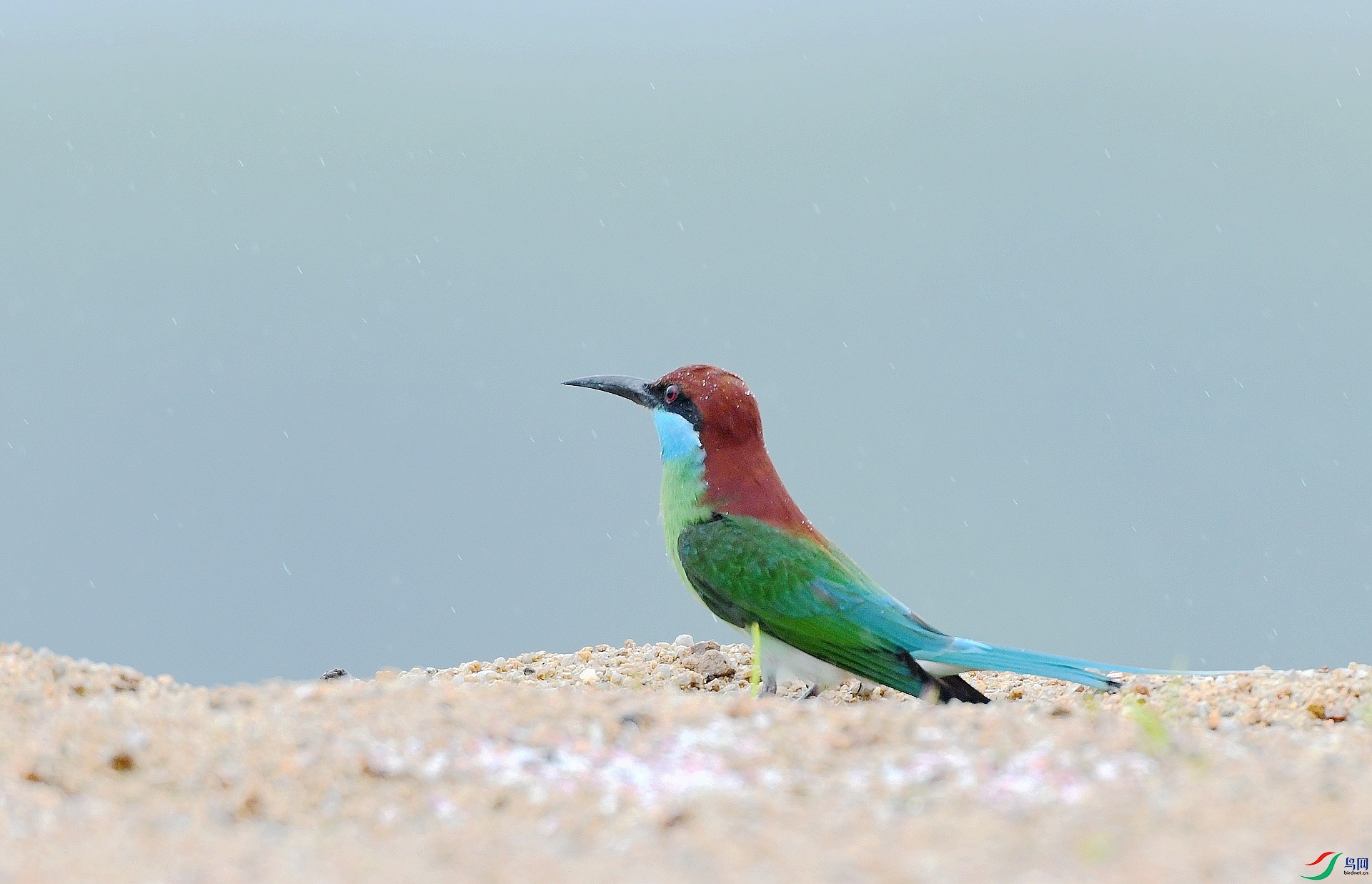 DSC_1397.jpg