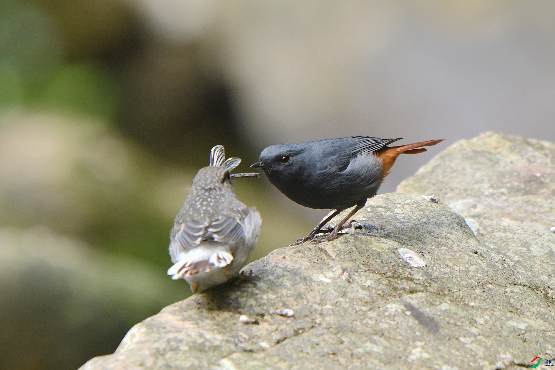 DSC_7862.jpg