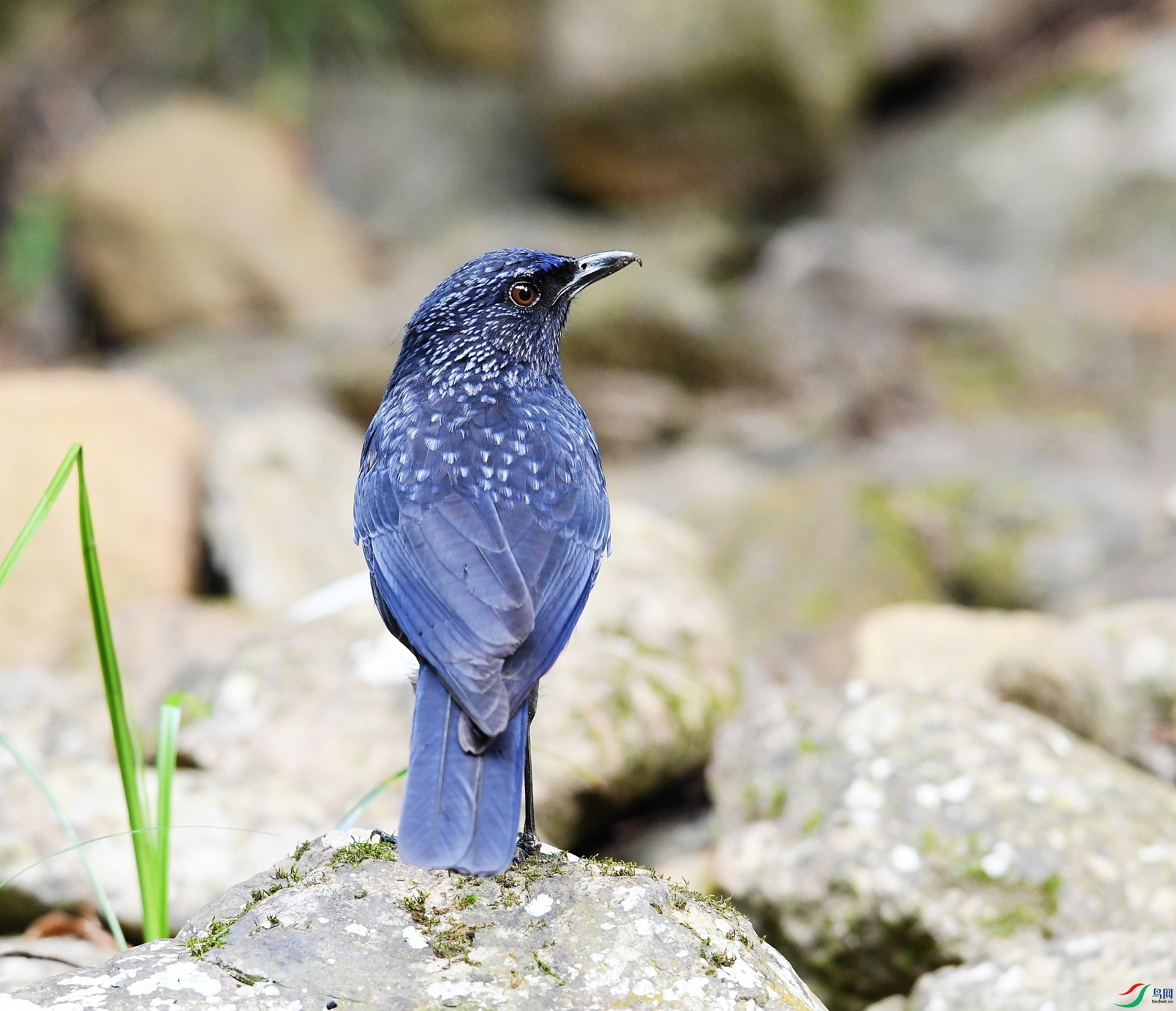 DSC_5770.jpg