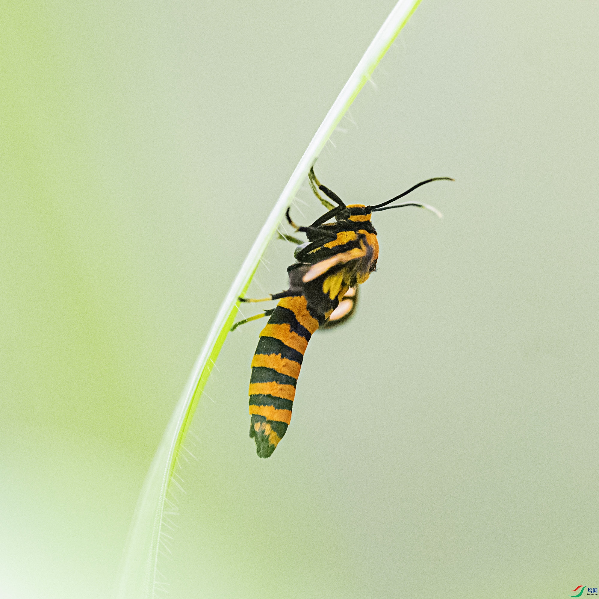 DSC_2590.jpg
