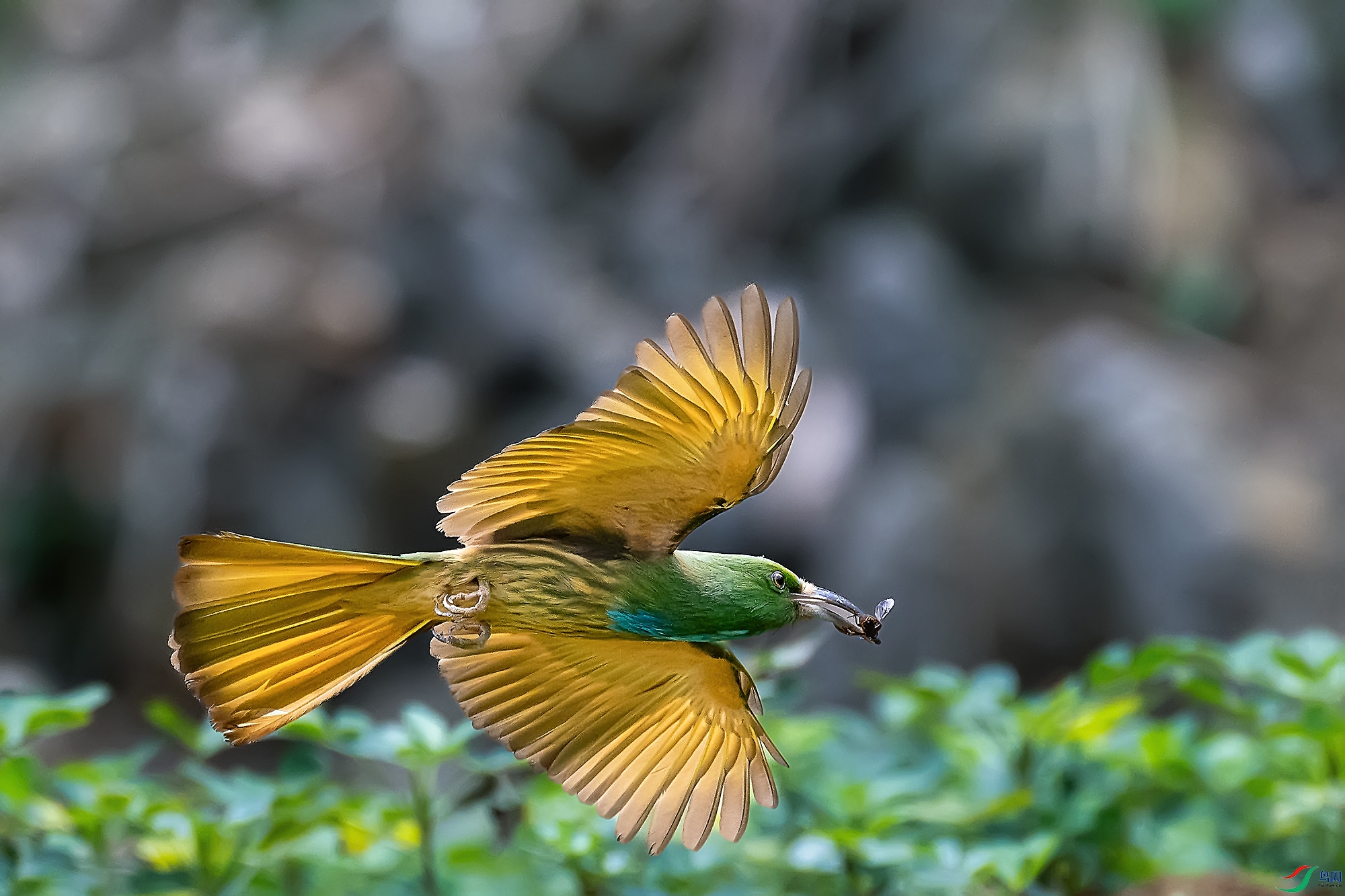 DSC_8188-1.jpg