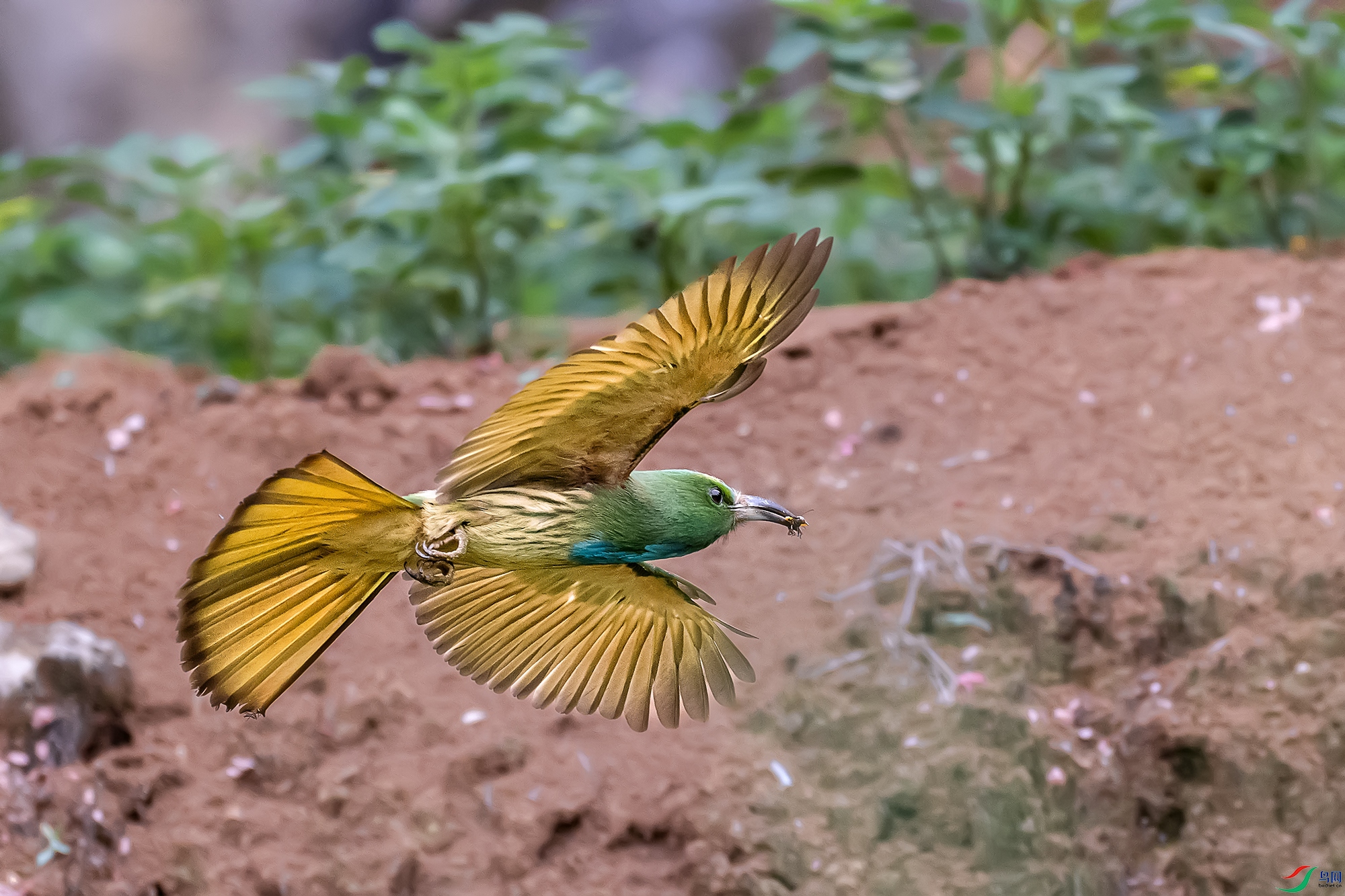 DSC_7859-1.jpg