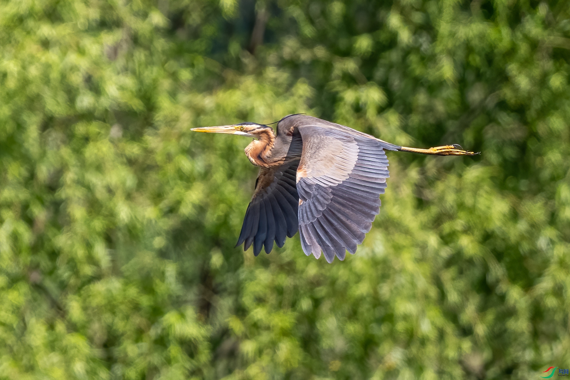 _DSC9405-.jpg