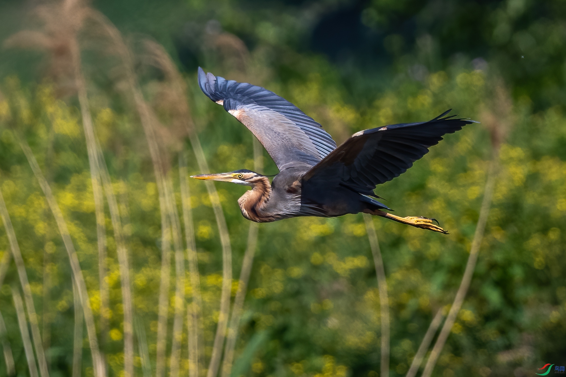 _DSC9413-.jpg