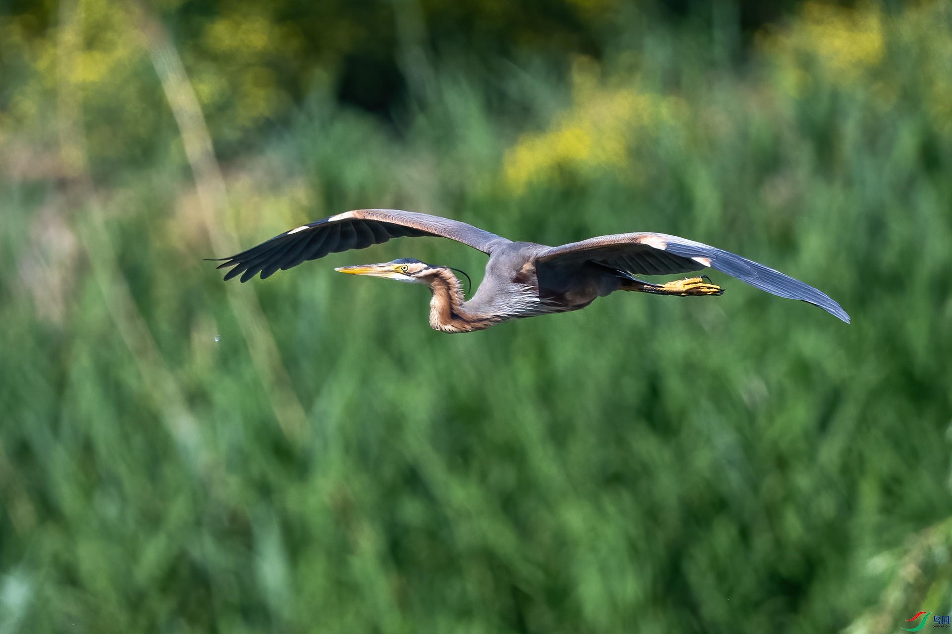_DSC9416-.jpg
