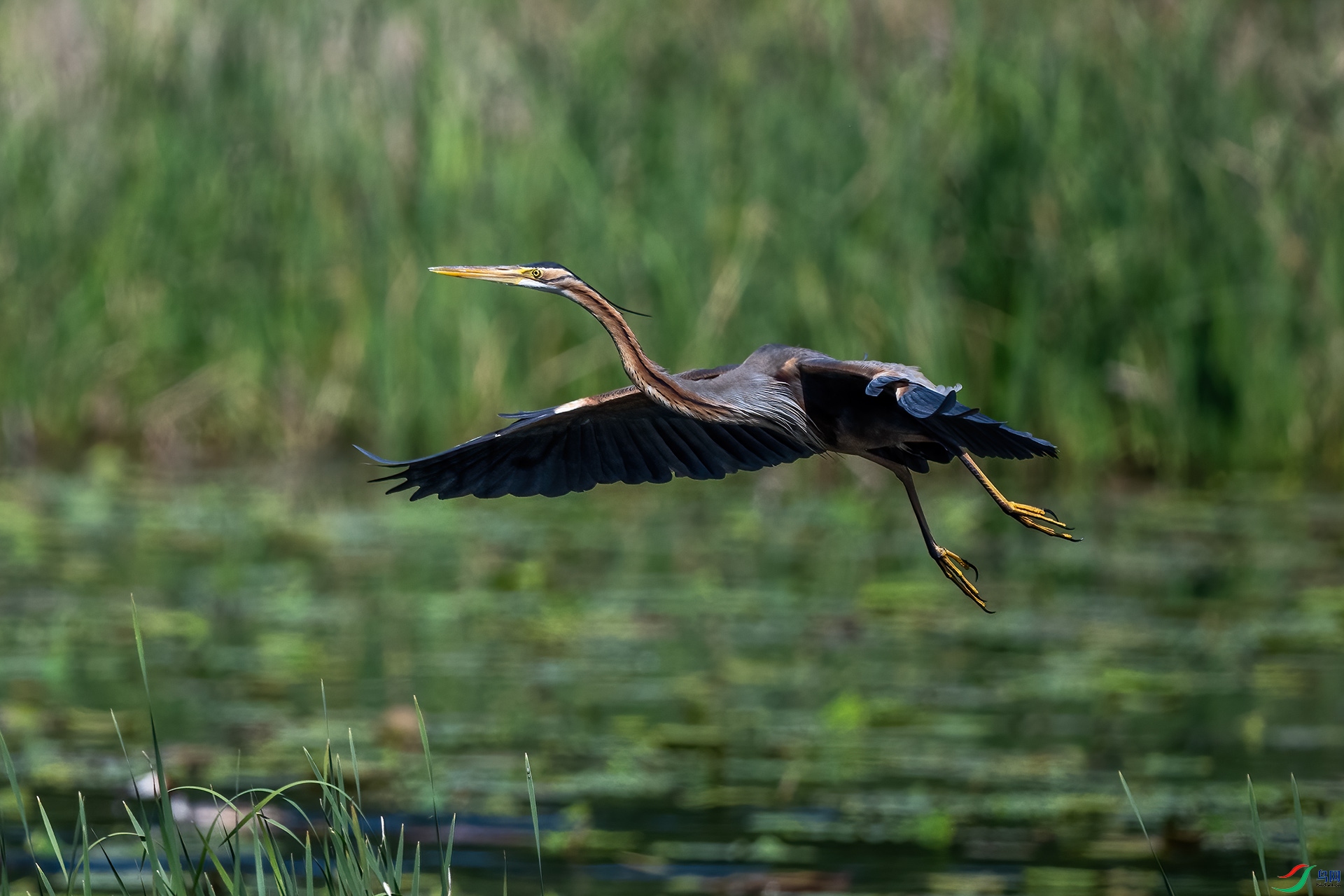 _DSC9425-.jpg