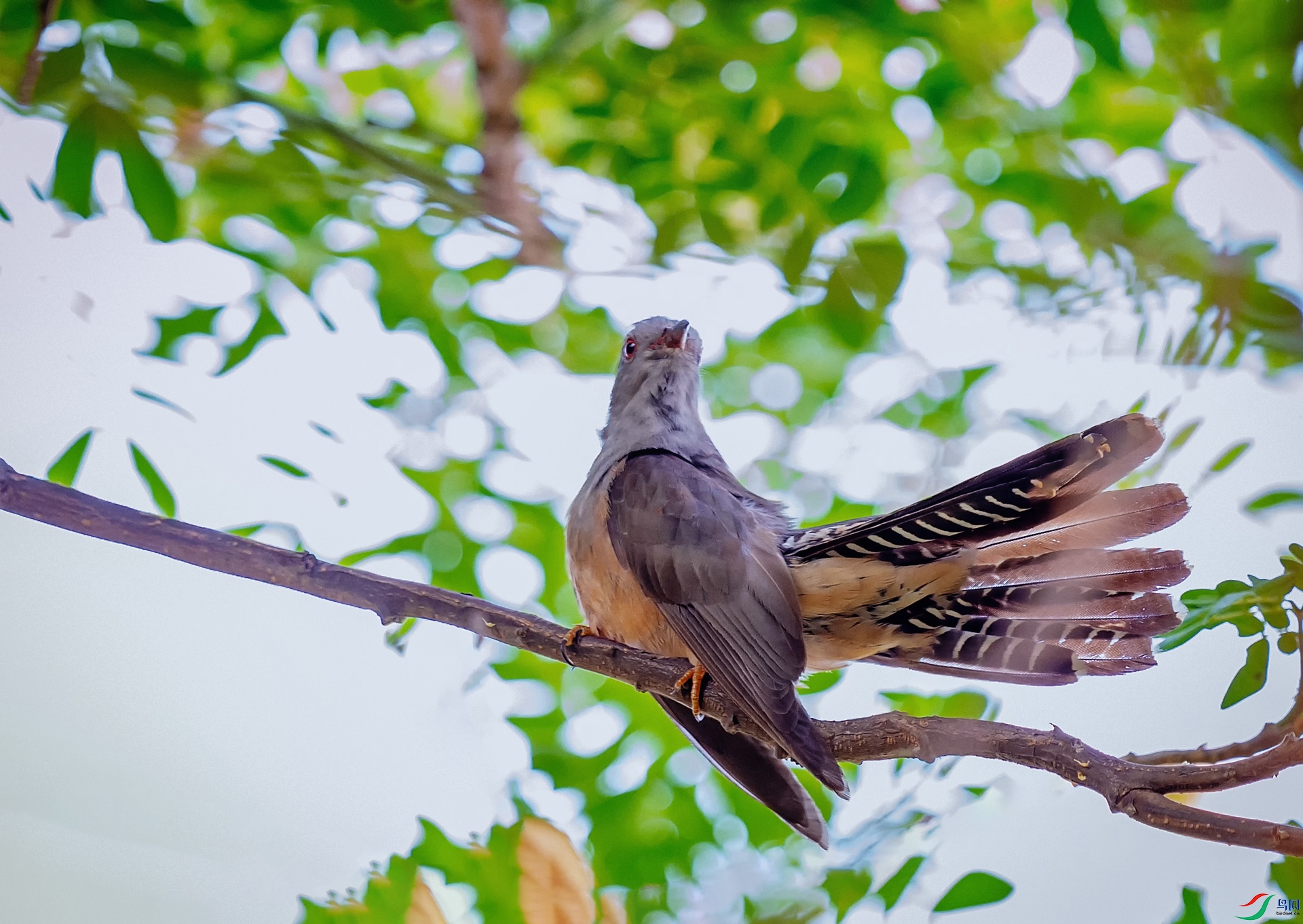 DSC_9914-1.jpg