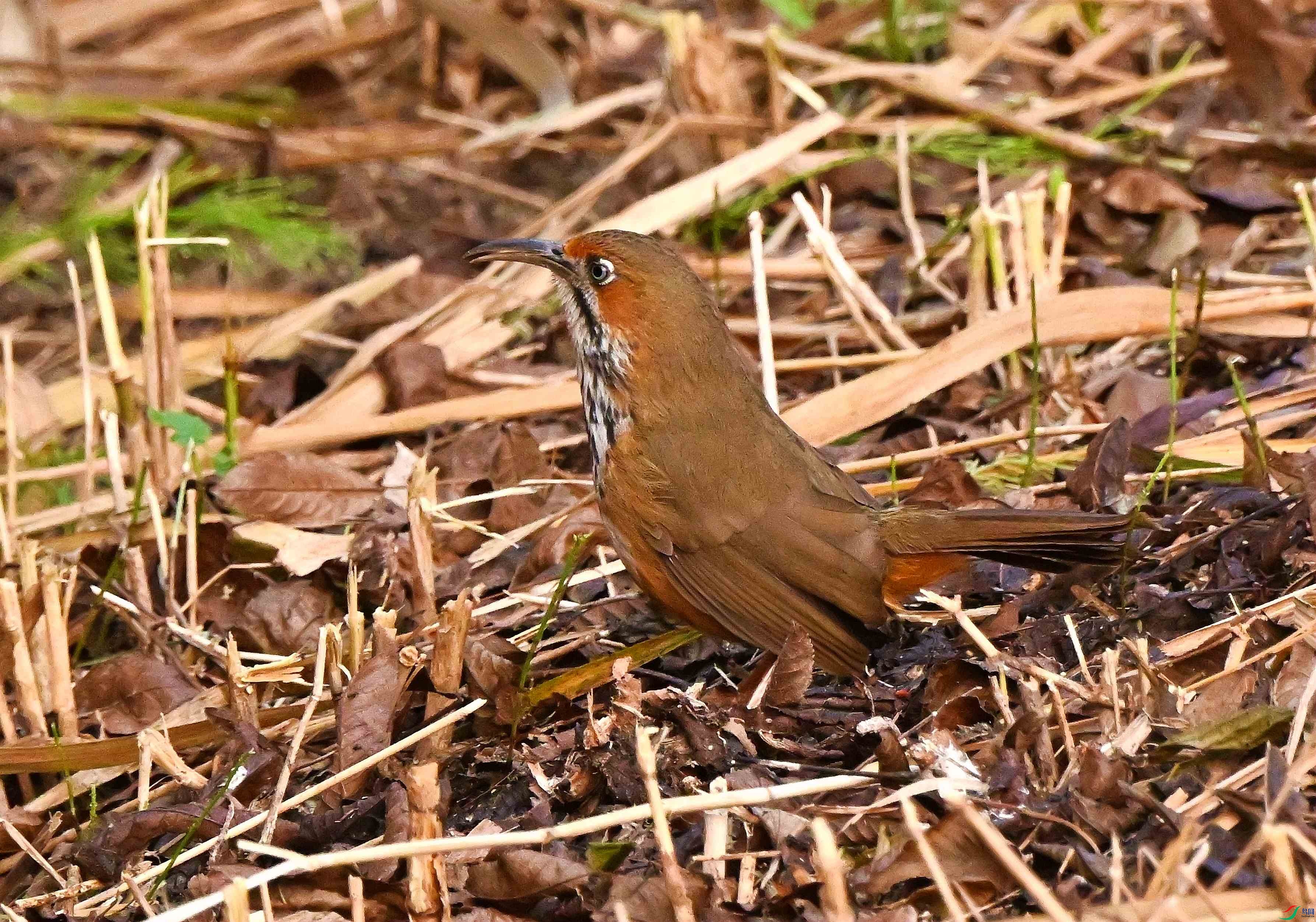 DSC_0840.JPG