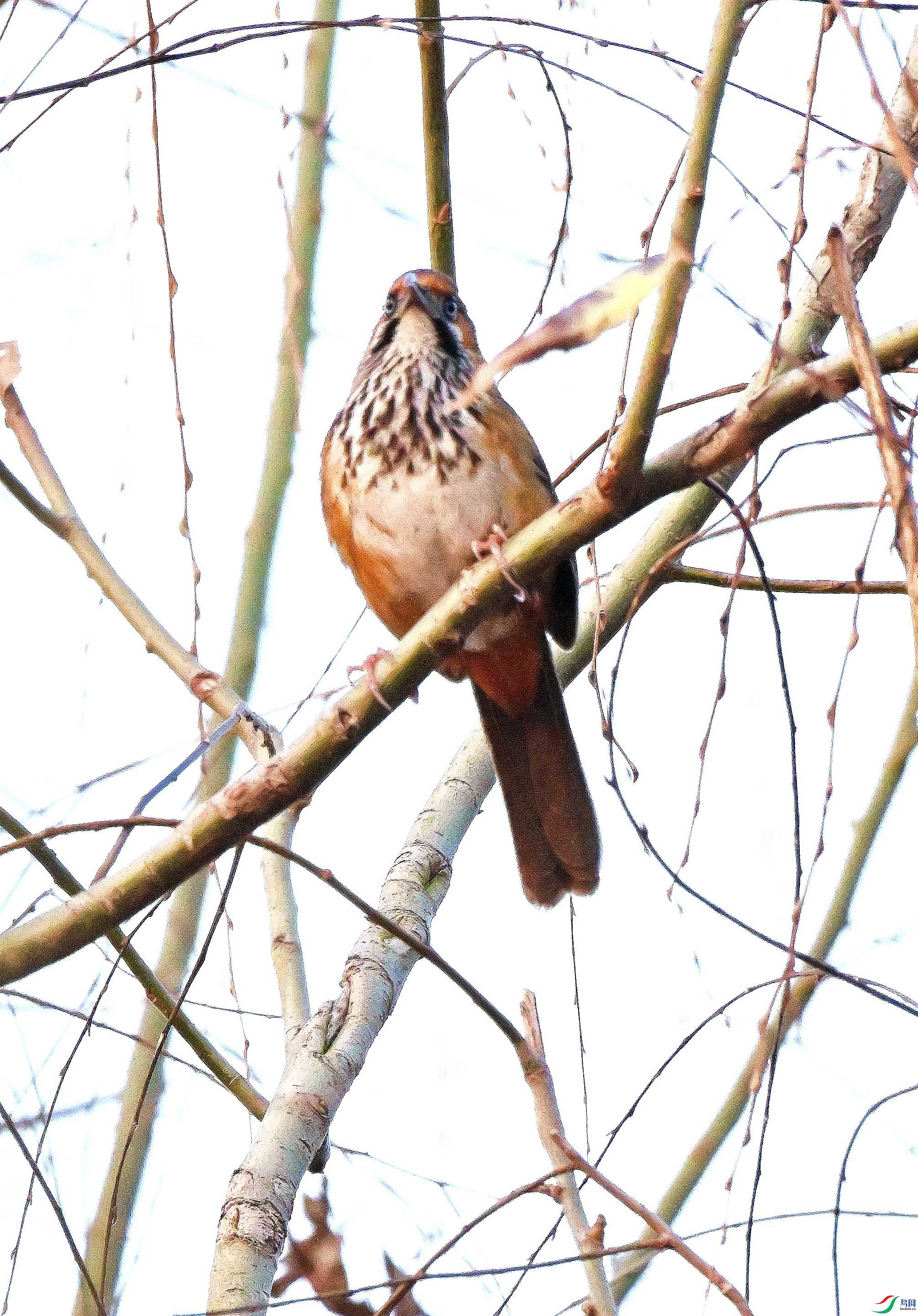 DSC_1689.JPG