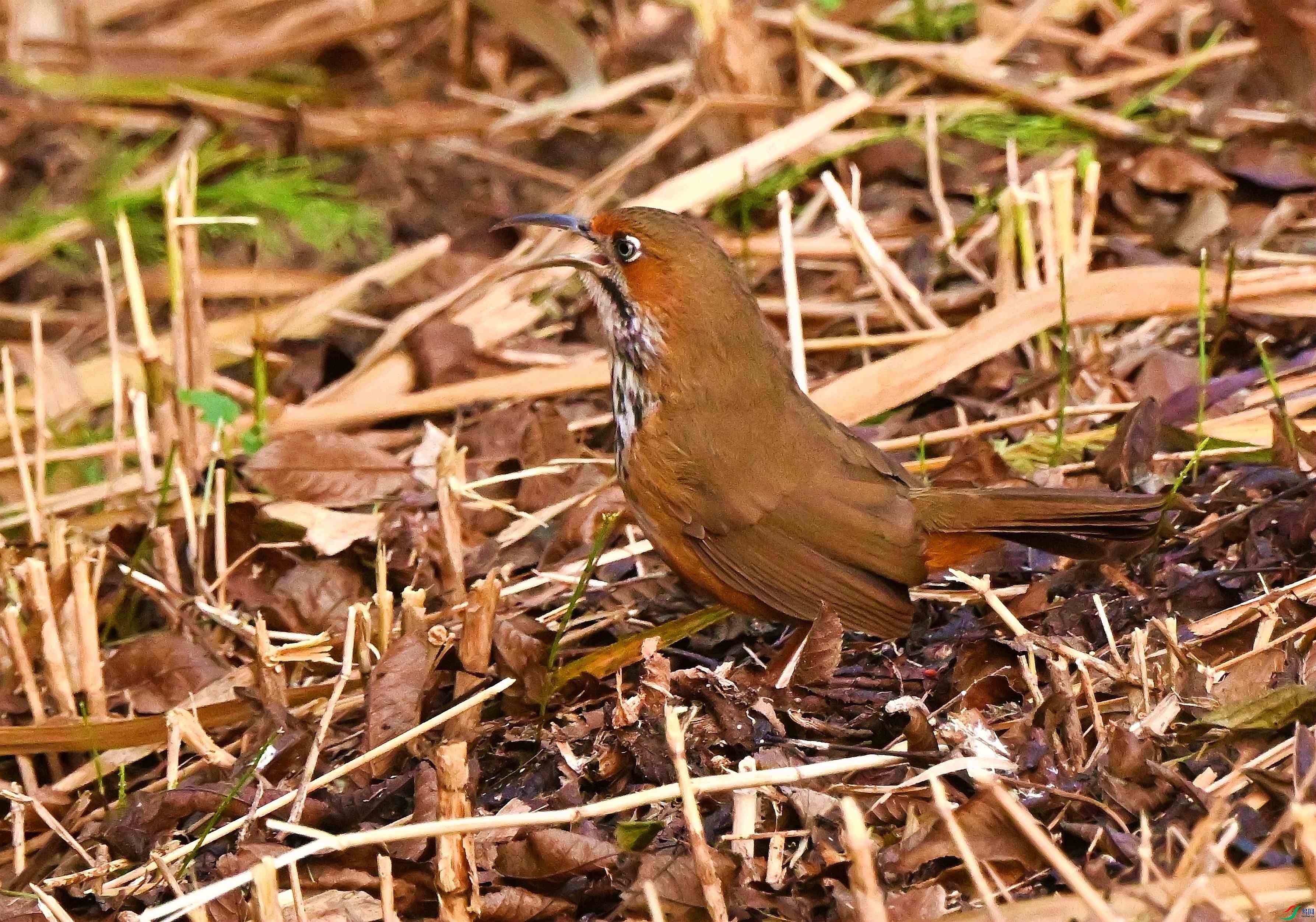 DSC_0836.JPG