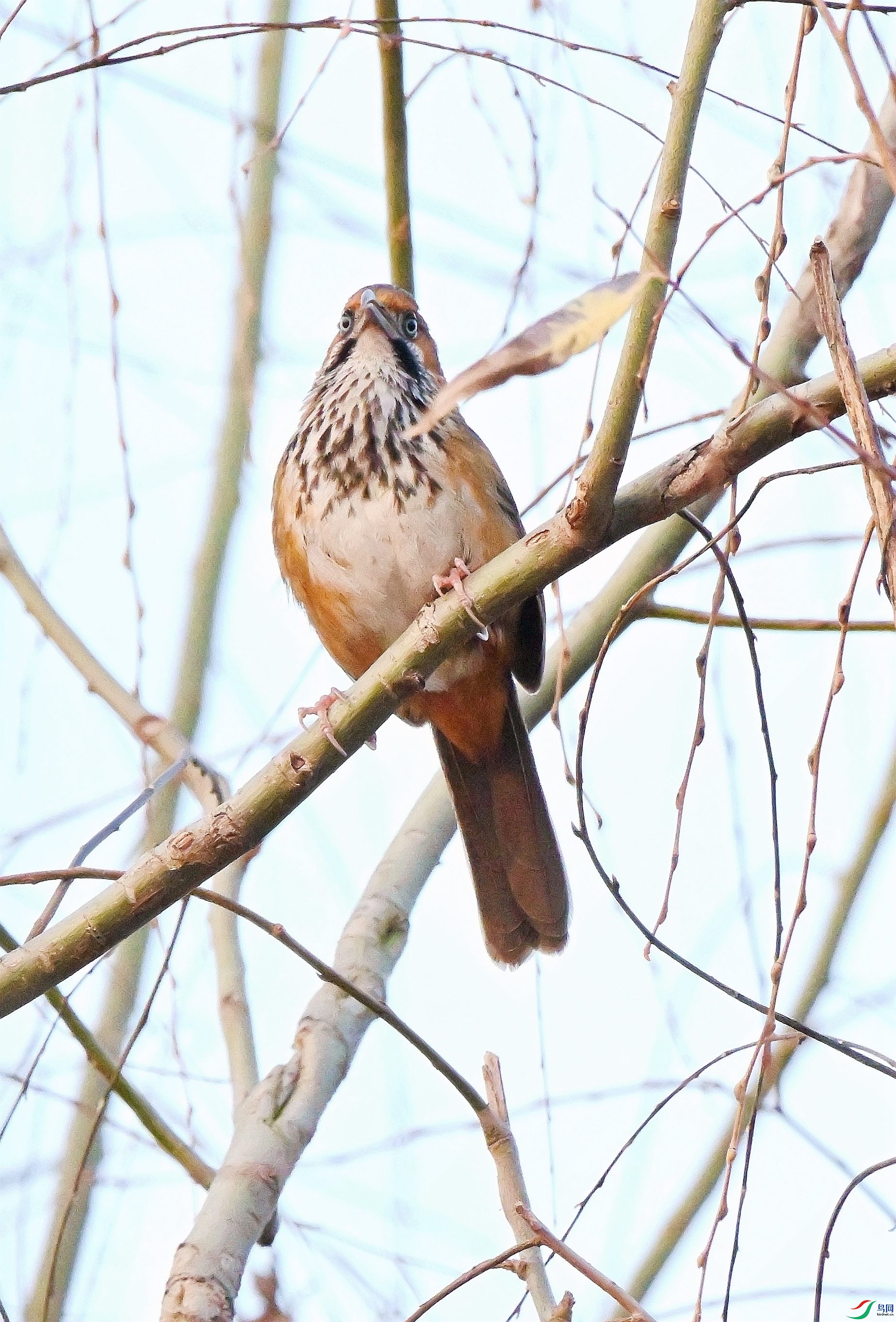 DSC_1692.JPG