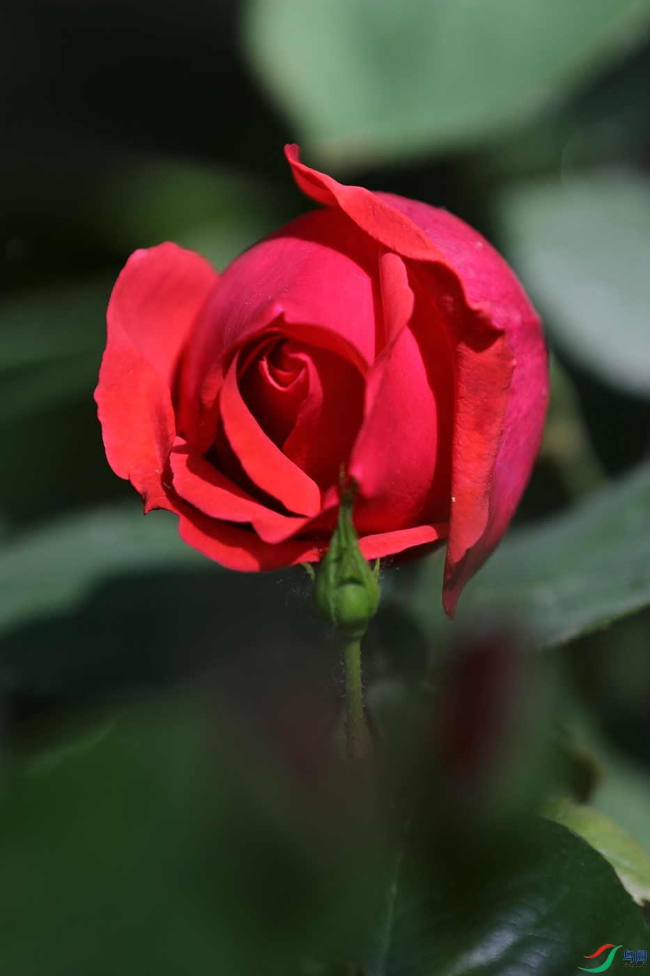 3X7A8016.JPG