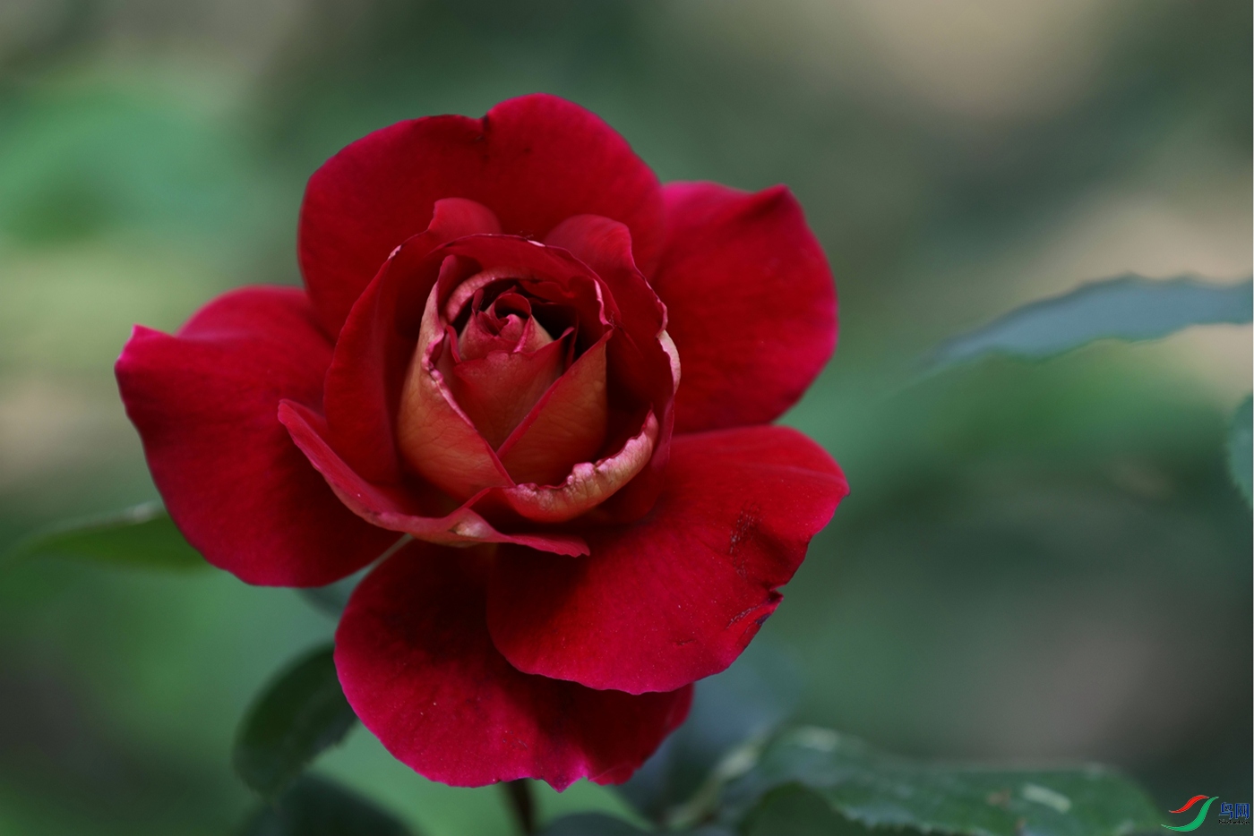 3X7A8034.JPG